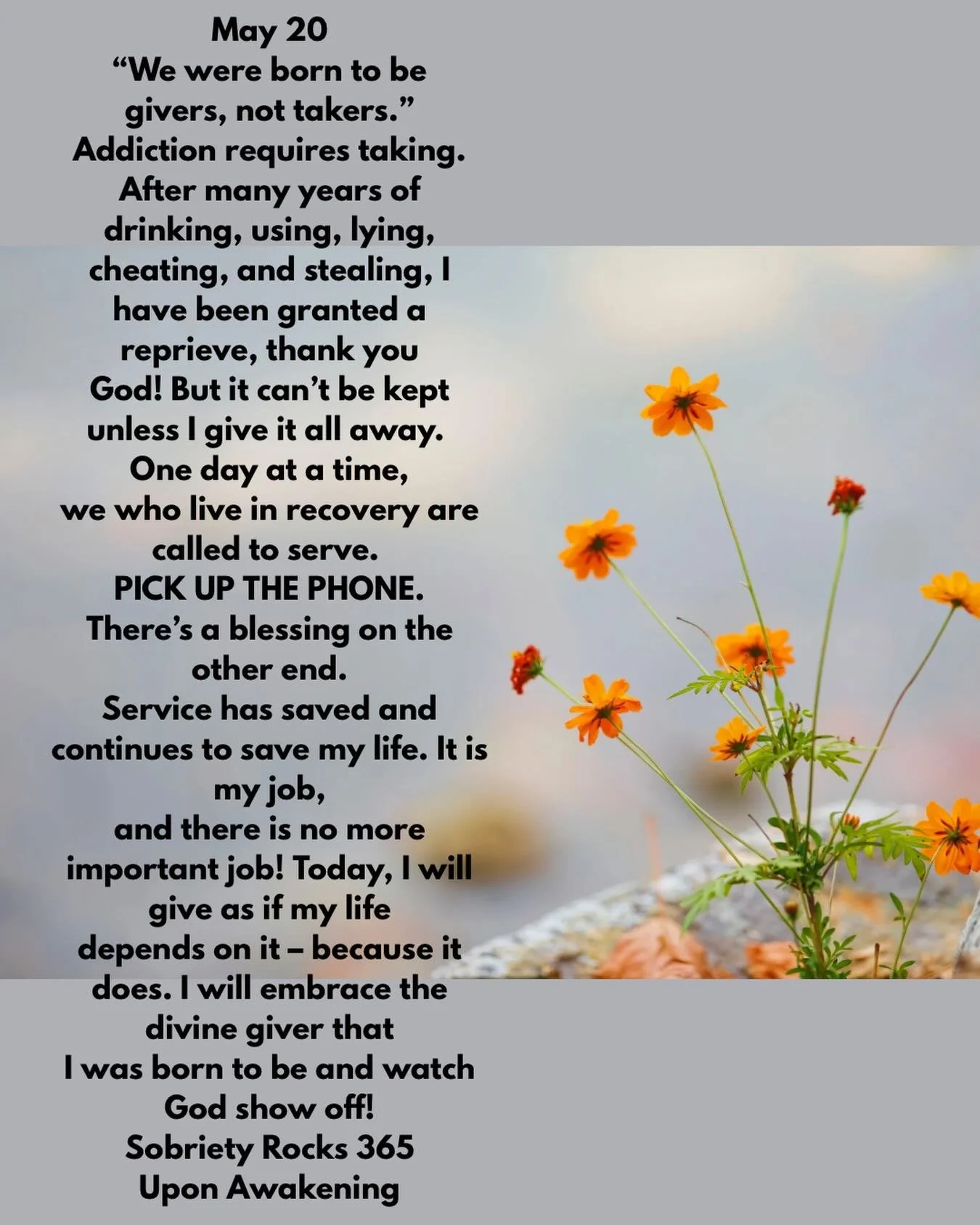#uponawakening #love
#moms #surrender 
#powerinthepause