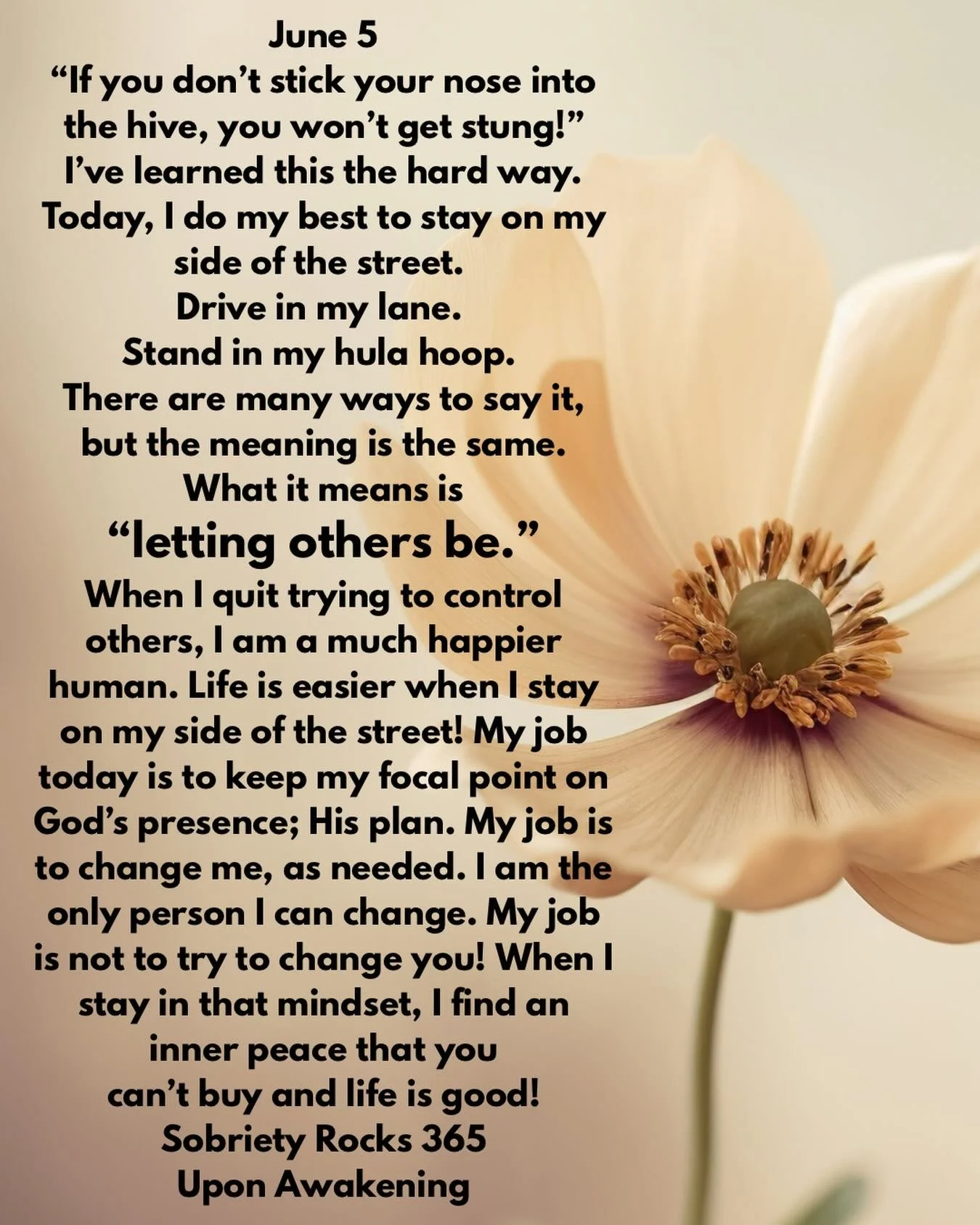 #uponawakening #love
#moms #surrender 
#powerinthepause