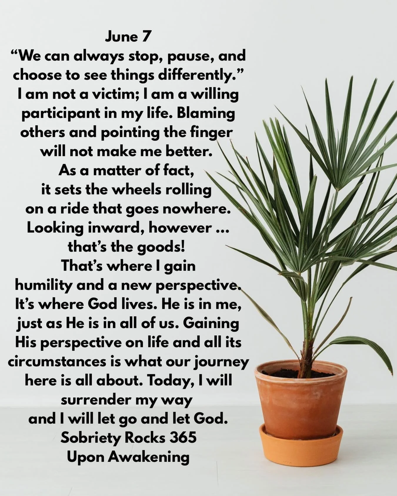 #uponawakening #love
#moms #surrender 
#powerinthepause