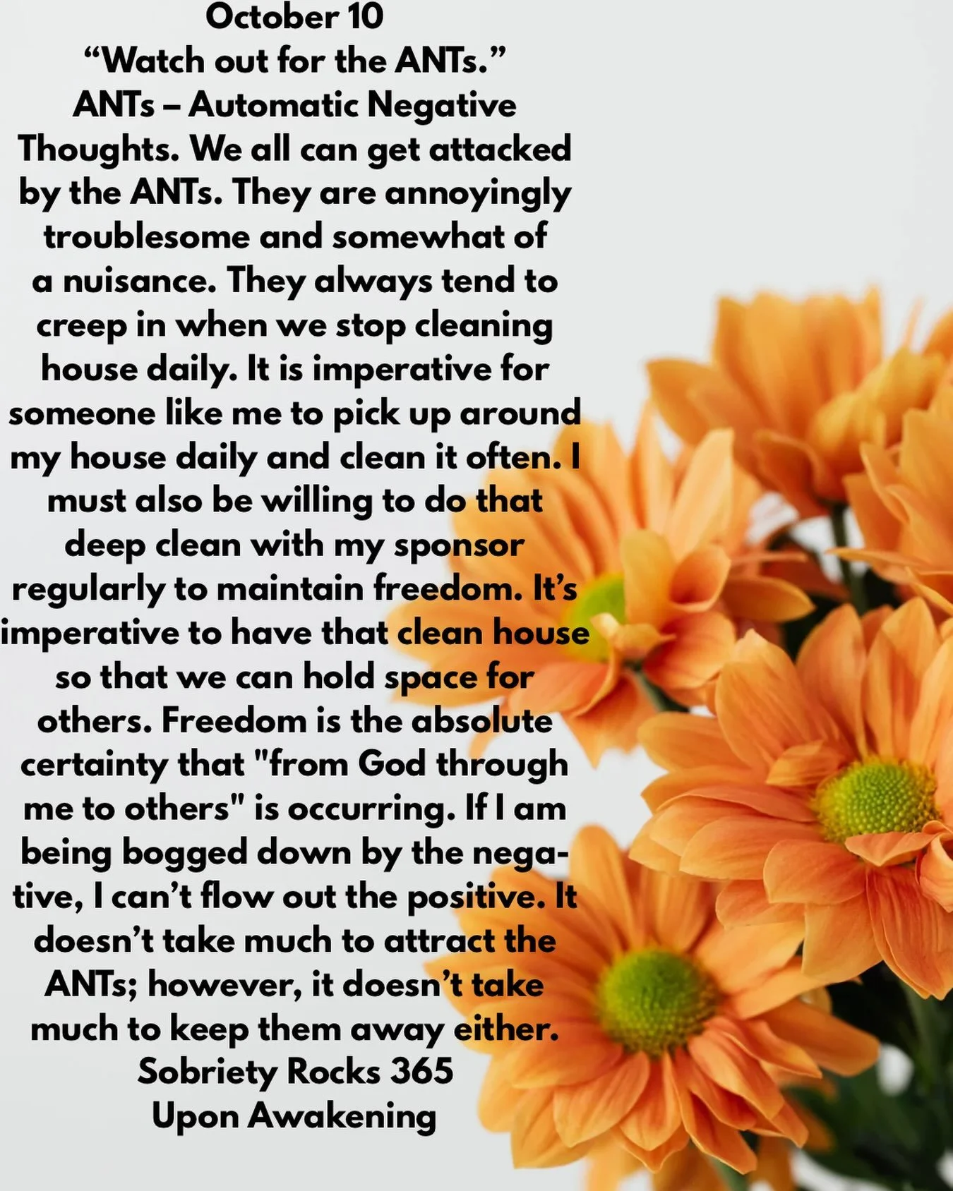 #uponawakening #love
#moms #surrender 
#powerinthepause