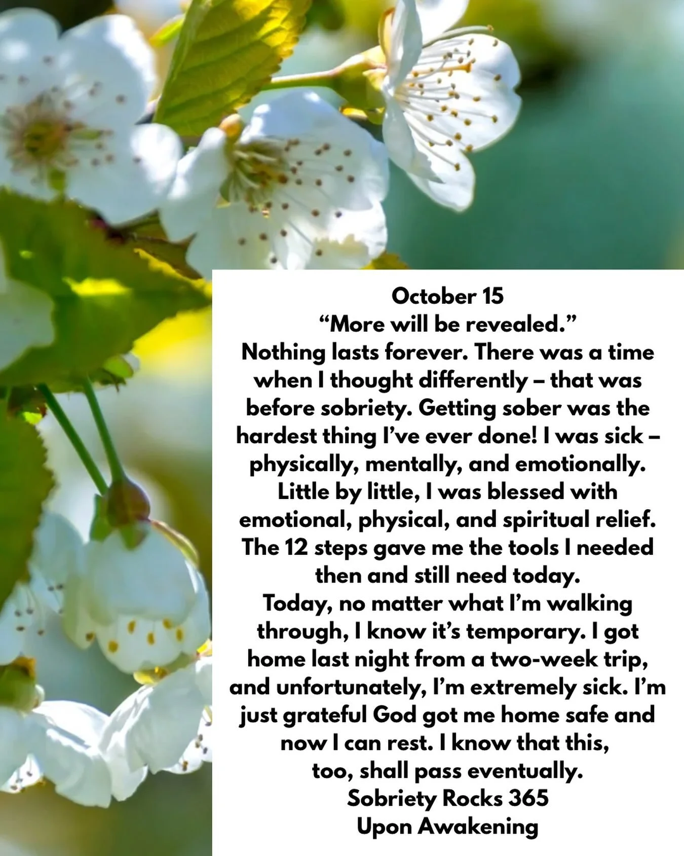 #uponawakening #love
#moms #surrender 
#powerinthepause