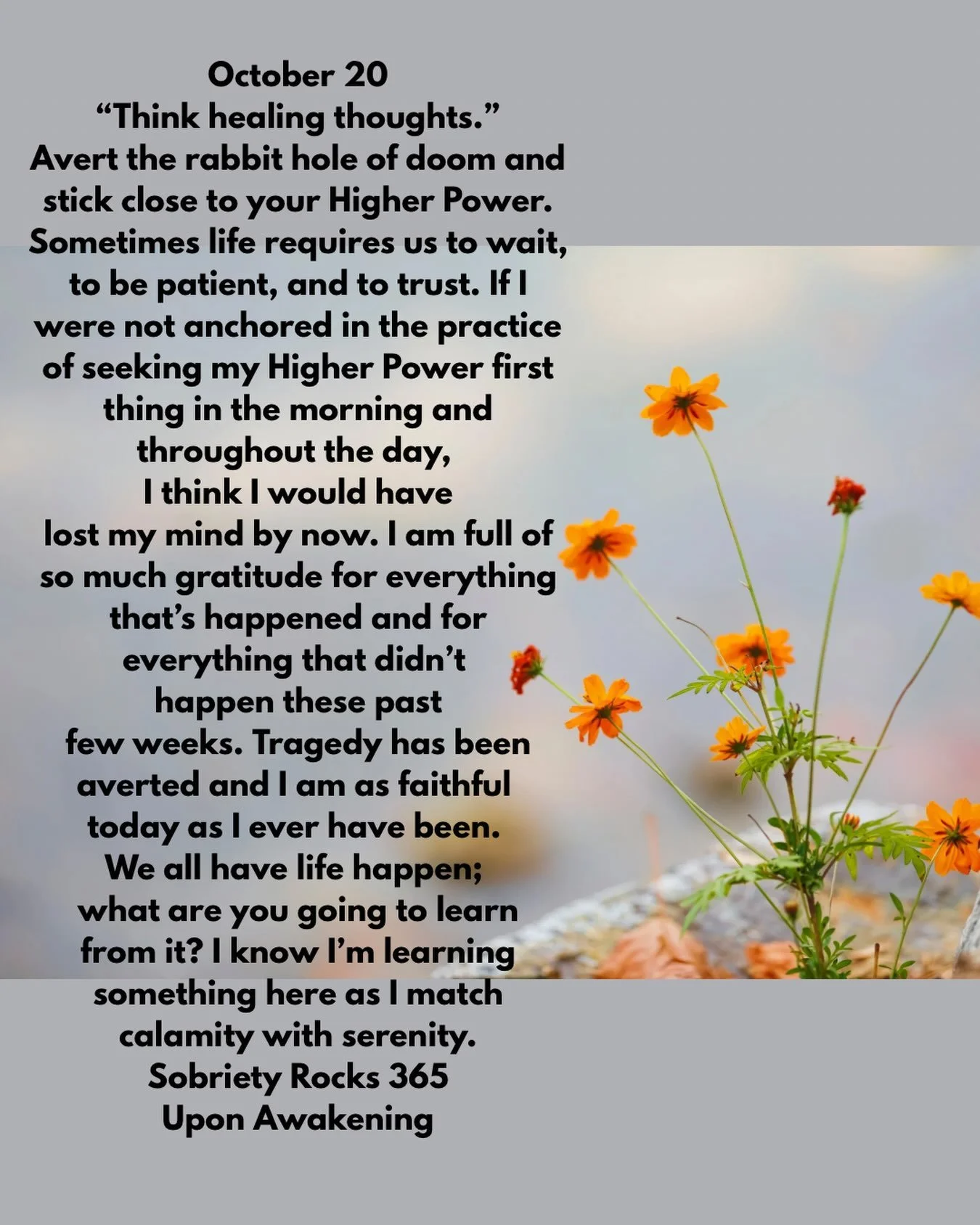 #uponawakening #love
#moms #surrender 
#powerinthepause