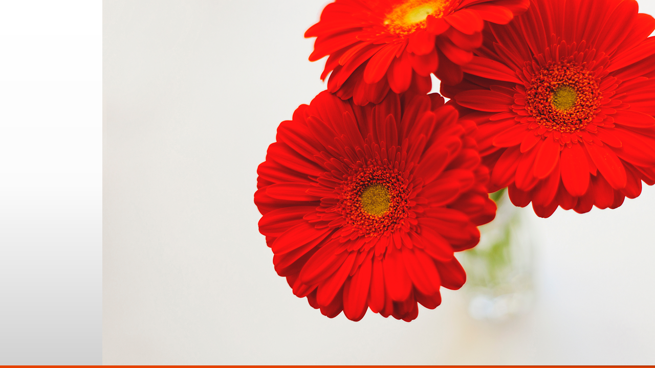 BtD 013 - Bleed (1).PNG