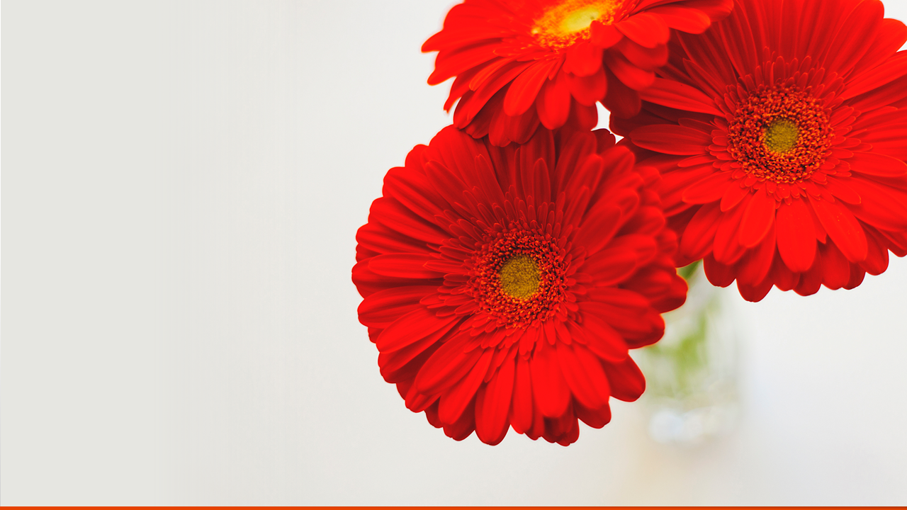 BtD 013 - Bleed (2).PNG