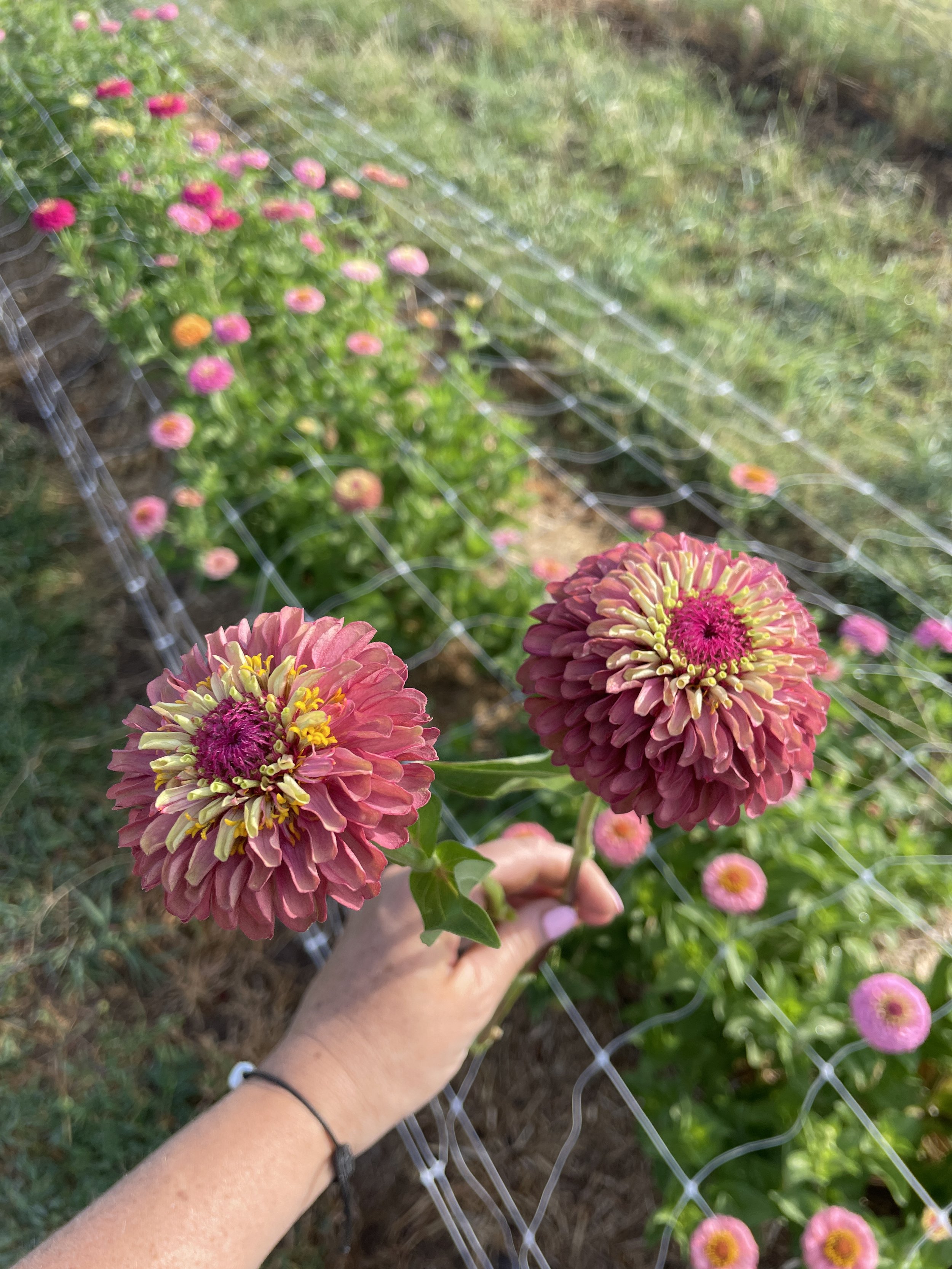 IMG_5092.jpeg