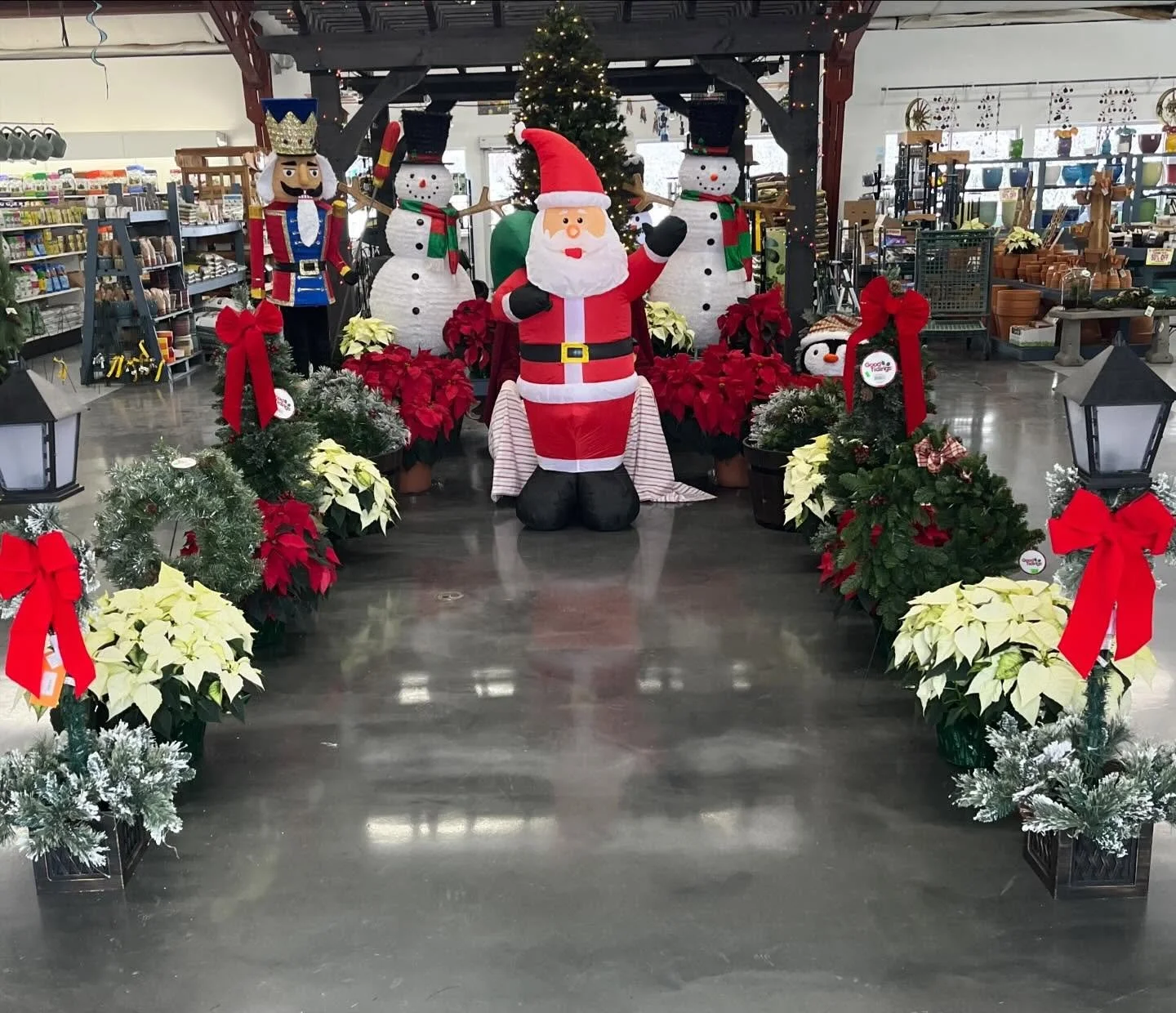 🎄 We&rsquo;re Getting Ready for Santa&rsquo;s Arrival, (Real Santa not a blow up)! 🎅 
The elves at Frank Otte Nursery &amp; Garden Center are busy preparing for the most magical guest of the season&hellip; Santa Claus himself!
Ho ho ho! Grab your f