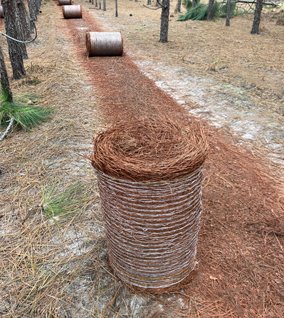 wholesale-round-pine-straw-rolls.jpg