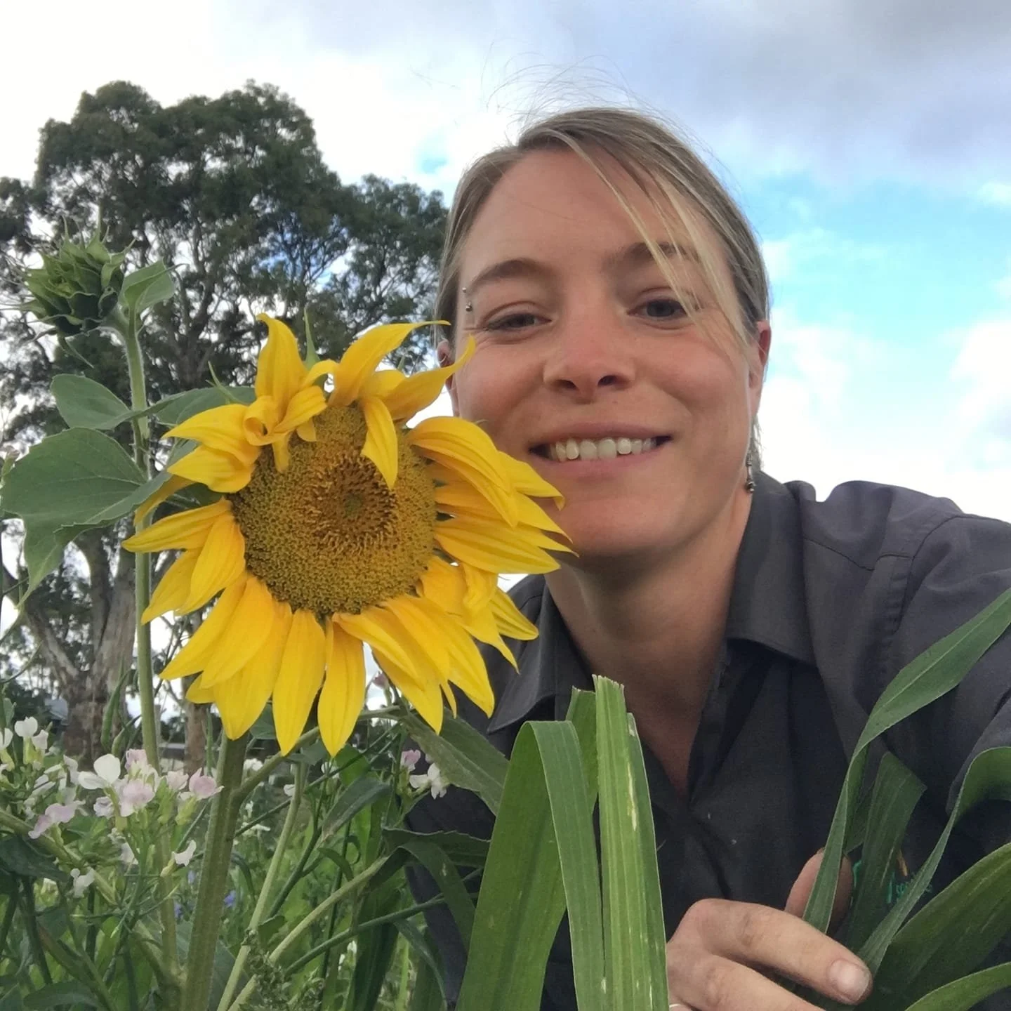 Multispecies Pasture - Coaching Course