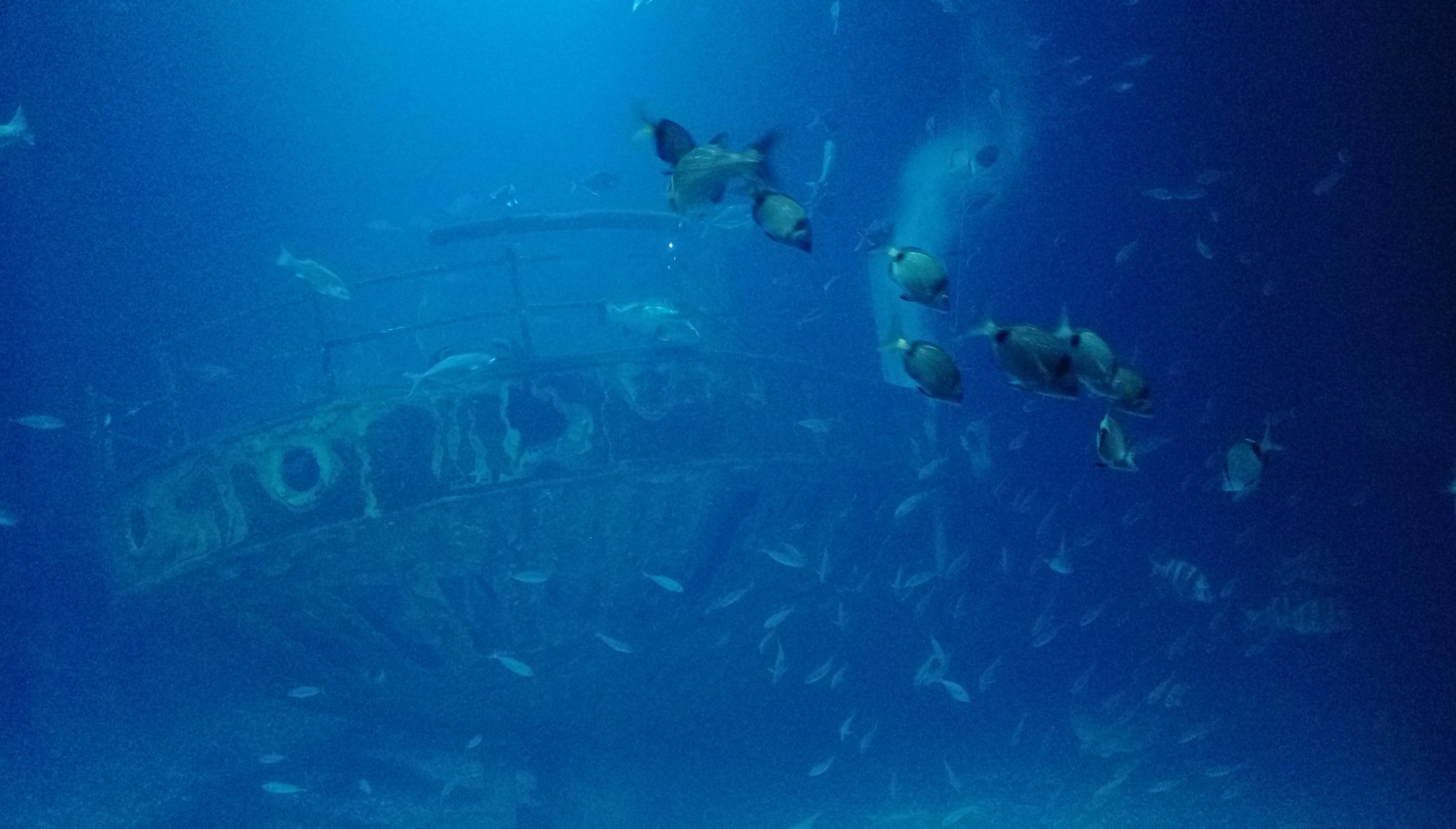 IMAG3855.jpg