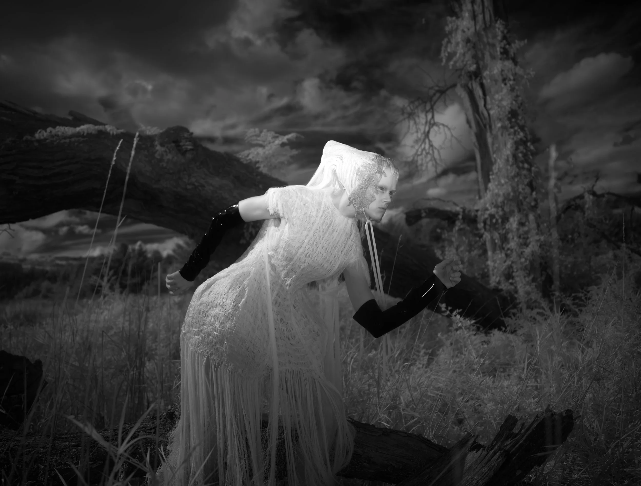 @davekarp_ Photos for Nasty4.jpg