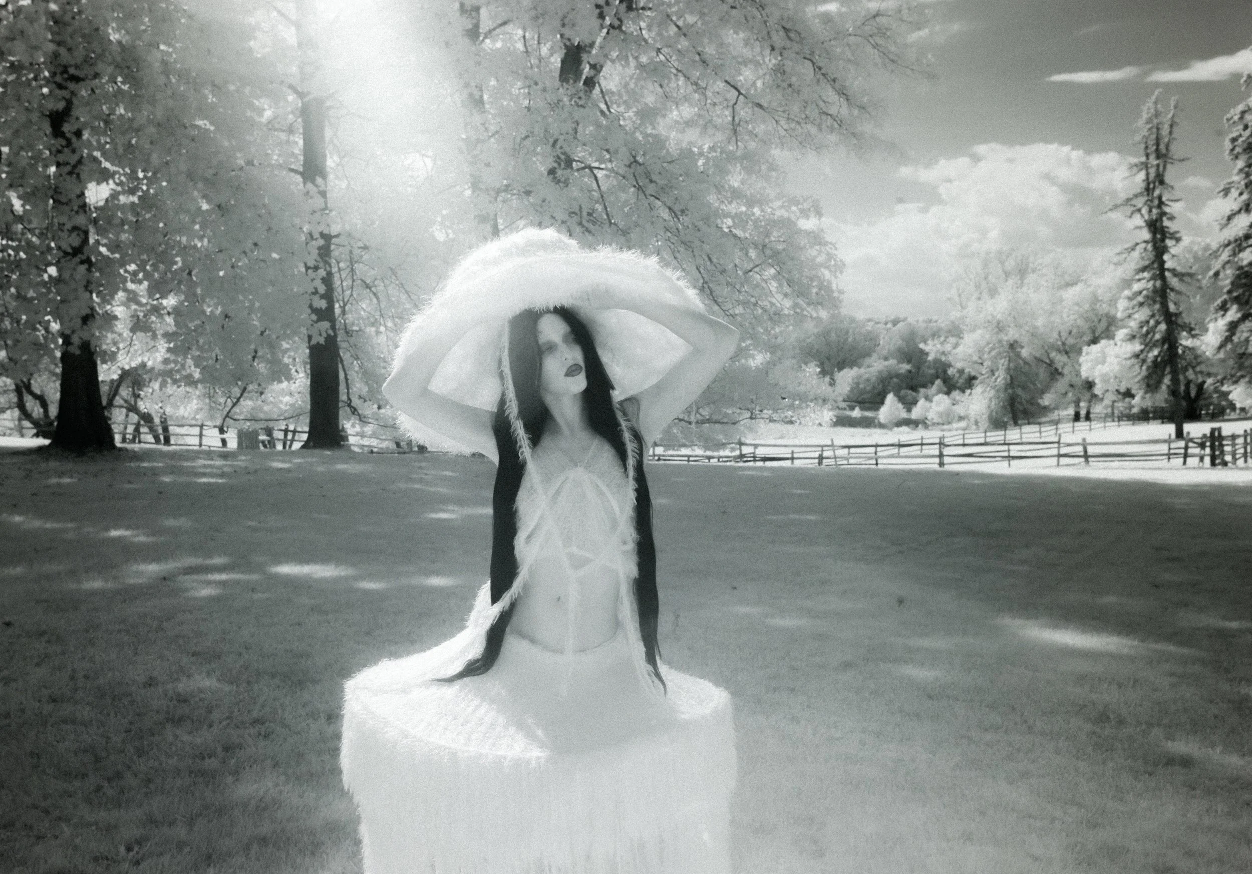 @davekarp_ Photograph3.jpeg