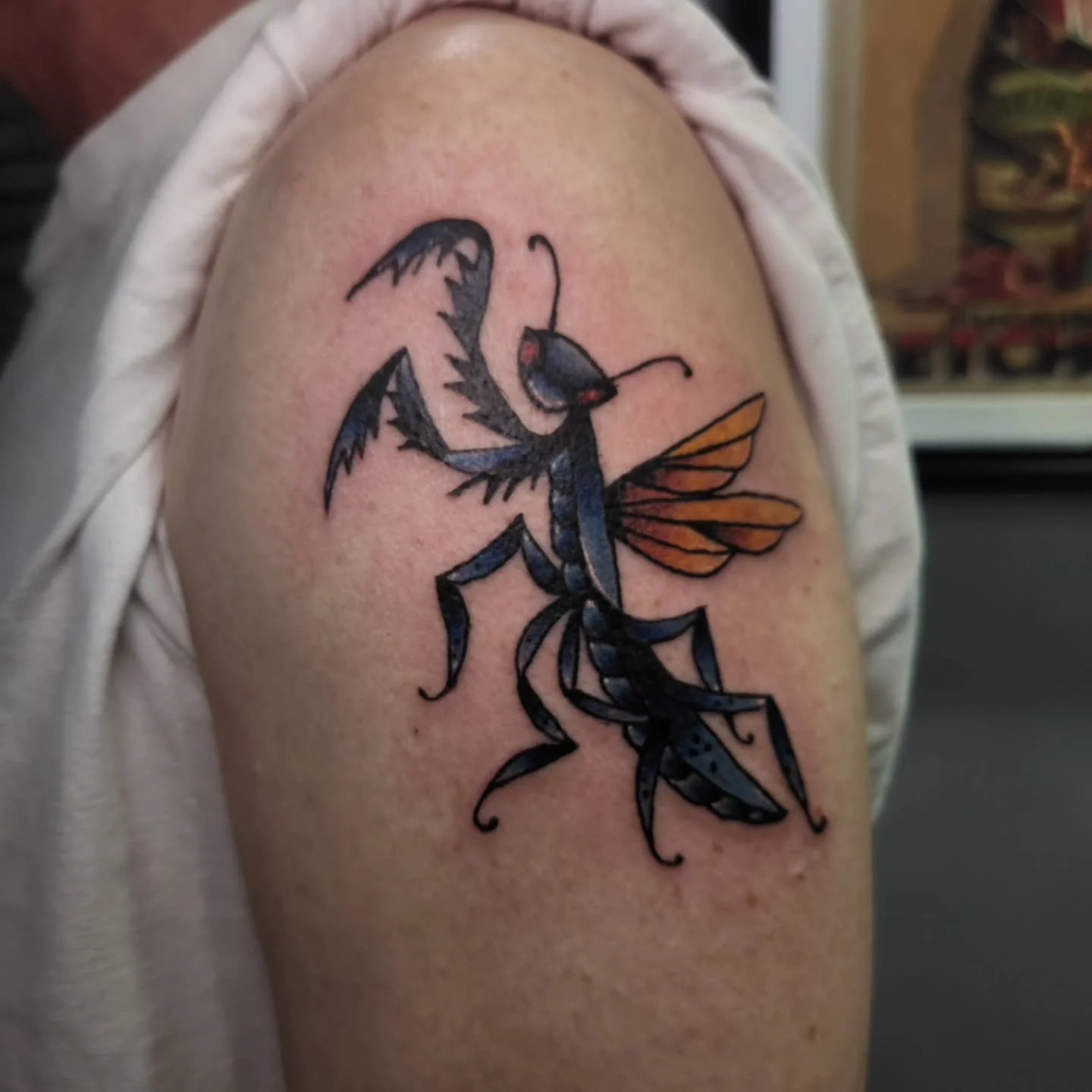 Big bug walk in from today ๐ 
Im booking for November both links in my bio work
You can also just walk in to @blackhorizontattoo and ask for me <3