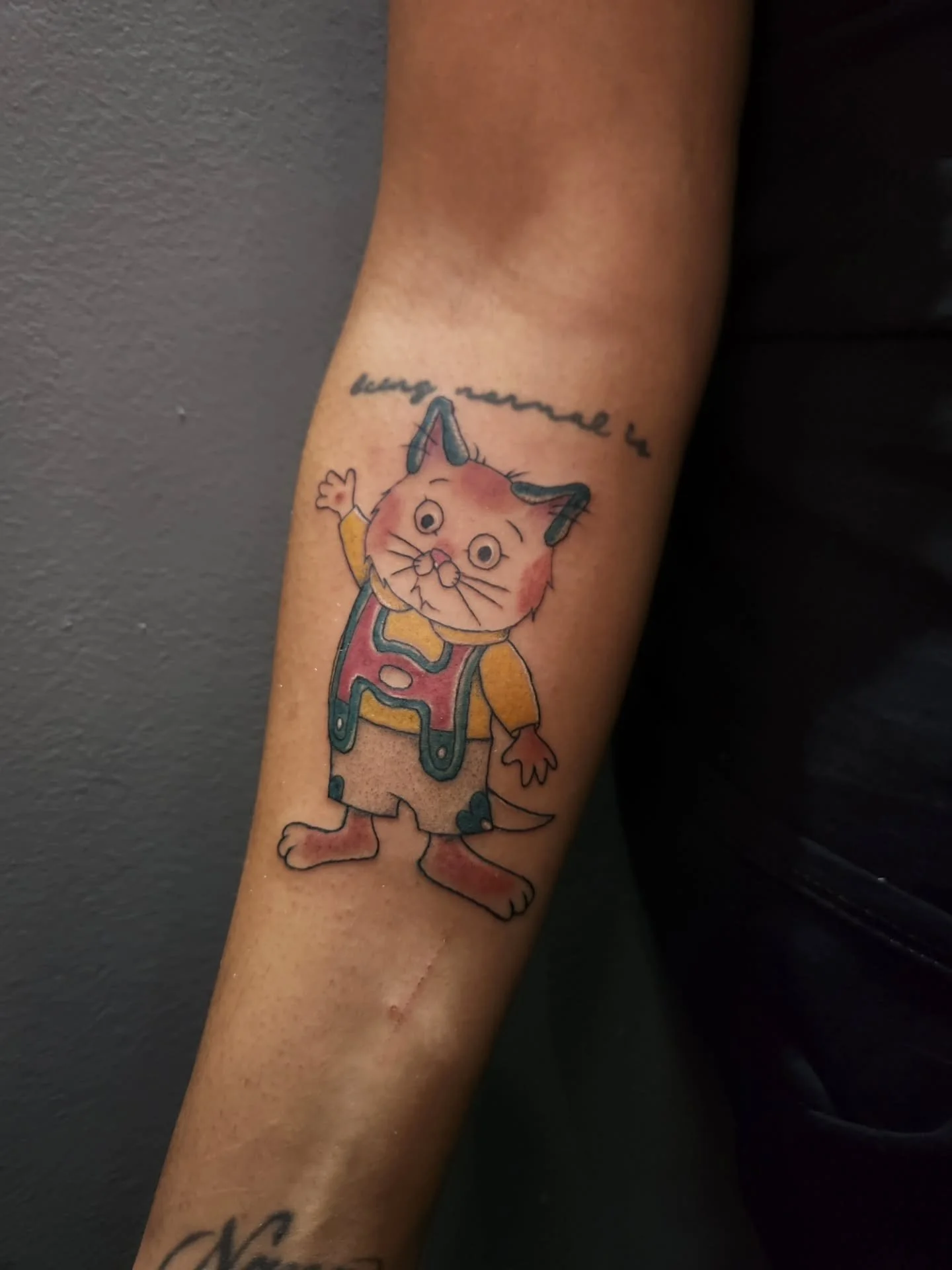 Huckle cat from today <3