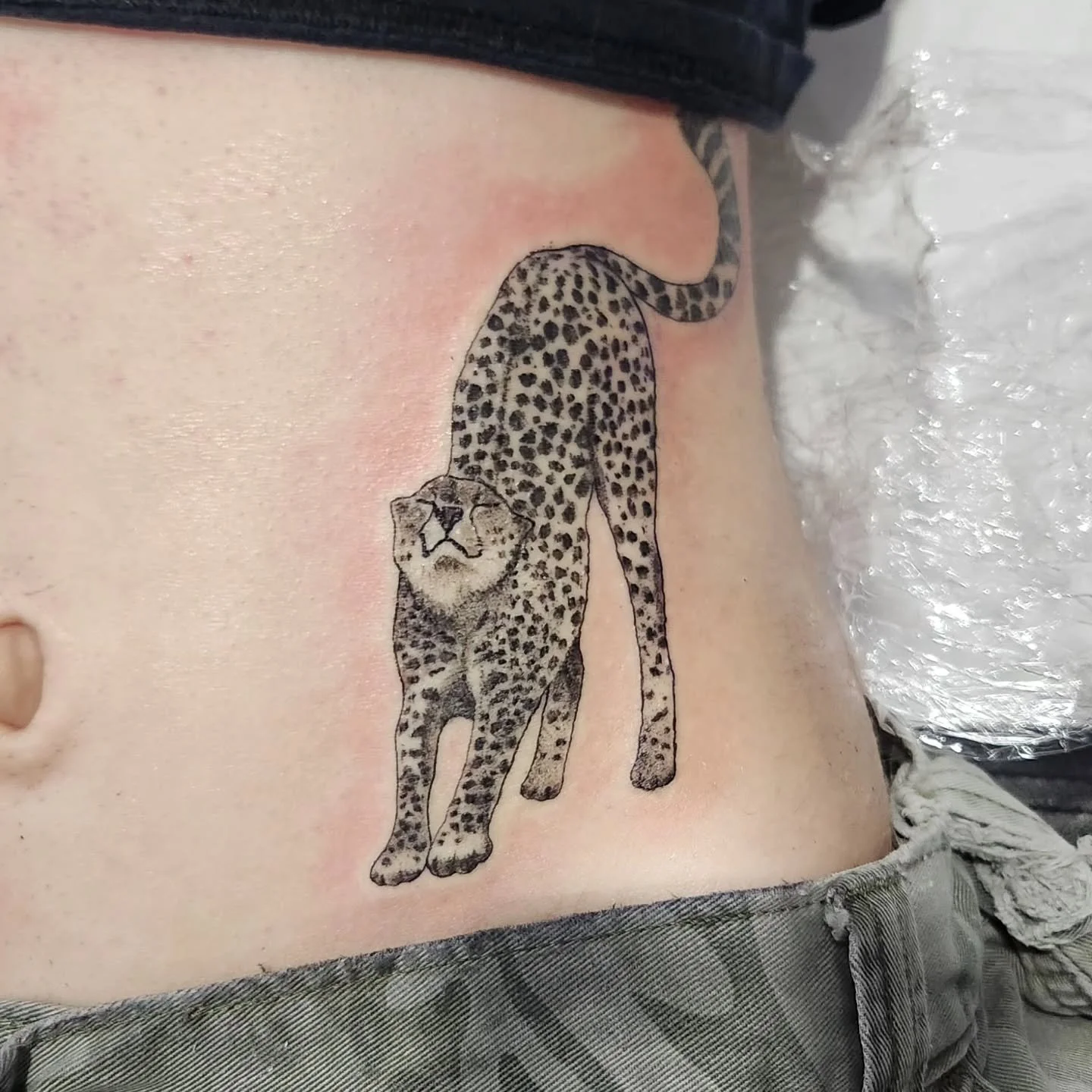 Neat little cheeta on stomach. Wild for her first tattoo but she sat well and we were able to get it done! Thanks for looking
.
.
.
.
.
#tattoo #tattoos #ink #tattooartist #inked #art #tattooart #tattooed #tattooideas #tattoolife #artist #tattoodesig