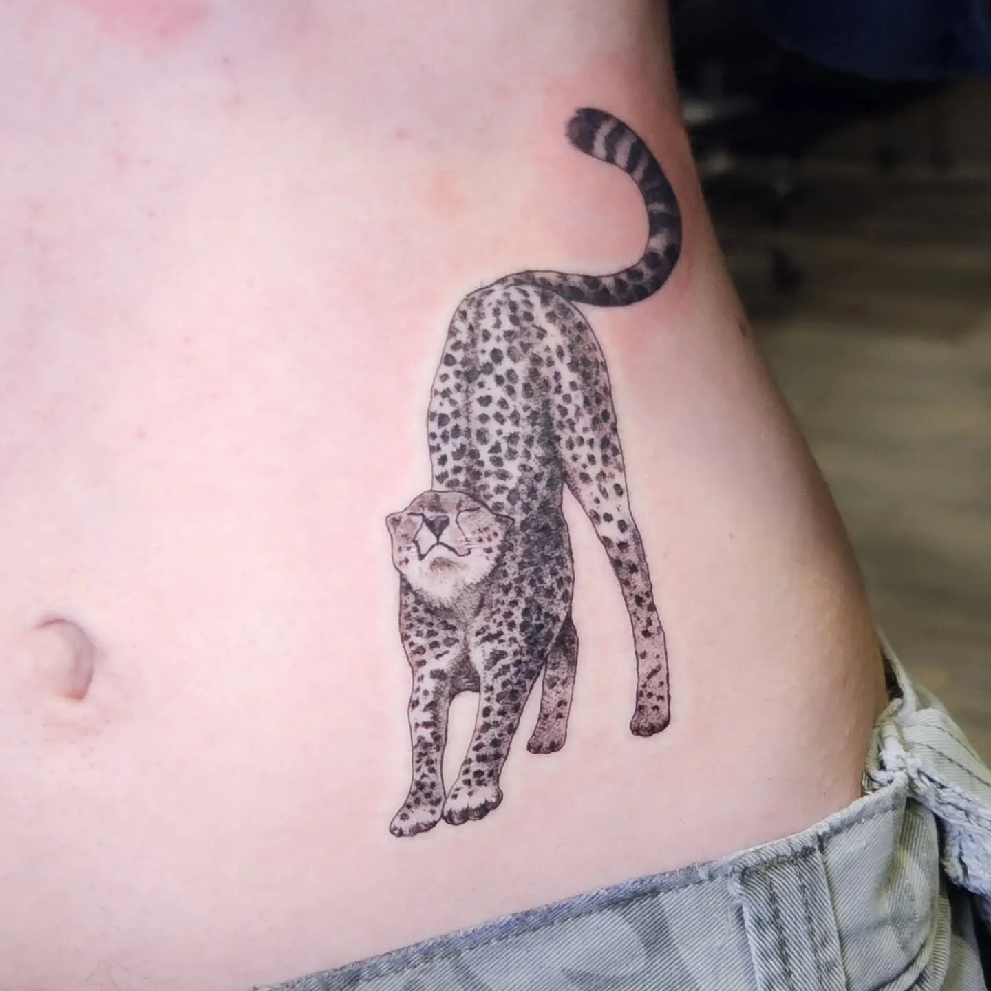 Realized I accidentally posted this cheeta the other day unfinished. This is the finished tattoo. 
Thanks for looking
