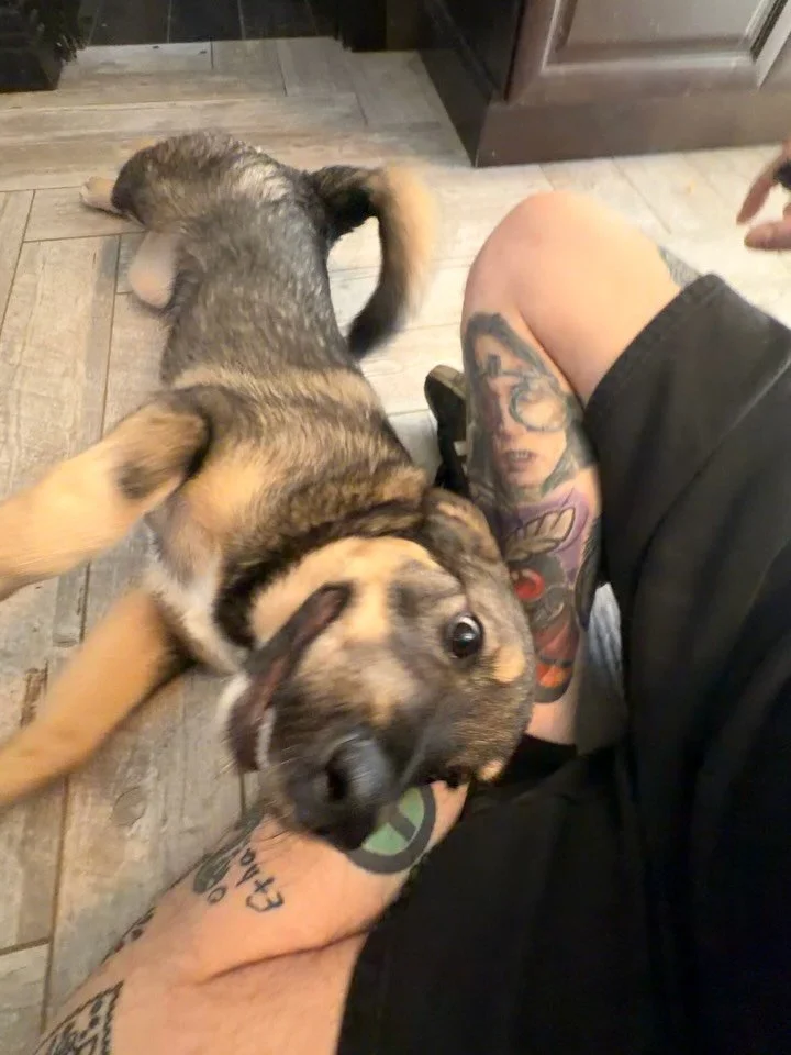 These two have literally taken over our lives&hellip; and I love it!