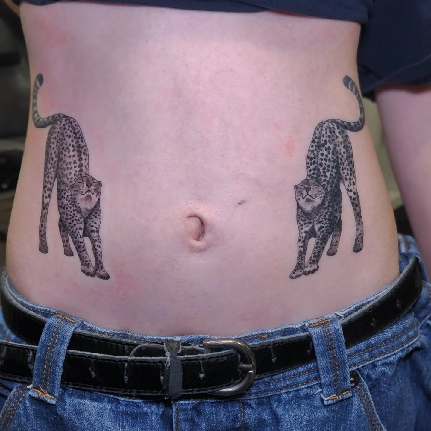 Finally was able to finish this cheetah stomach piece. 
Very happy with how this turned out.
BOOKS ARE OPEN ALL WINTER
thanks for looking 🦇 
.
.
.
.
.
#pittsburghpa #pensylvania #cheetah #cheetahtattoo #finelinetattoo #blackandgreytattoo #linework #