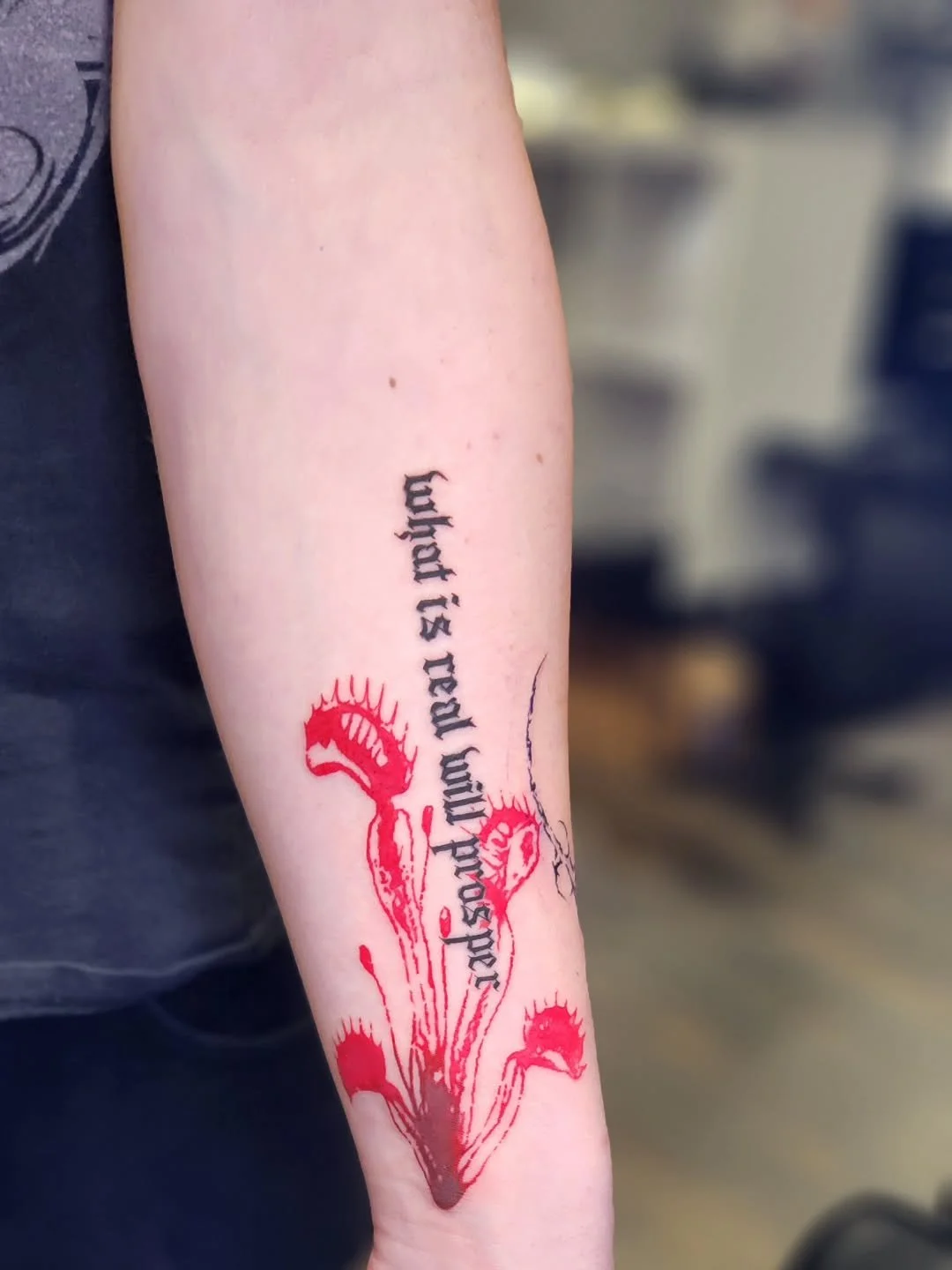 Sweet lettering rework and flytrap addition.
Trash polka influence.
Thanks for looking
Remember books are open throughout winter
Discounted rates on flash and $20 off minimum
.
.
.
.
.
.
.
#tattoo #tattooer #pittsburgh pittsburghpa #downtownpittsburg