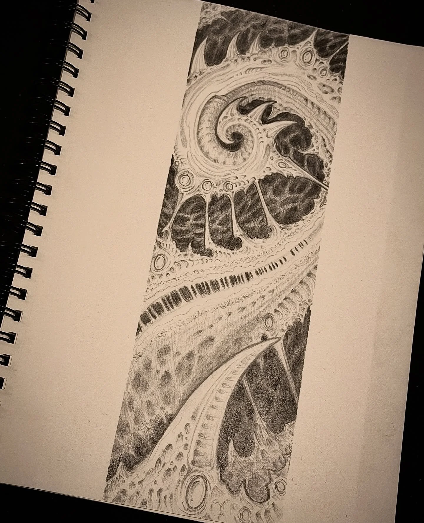 Now Booking for 2026!!

DM to book!