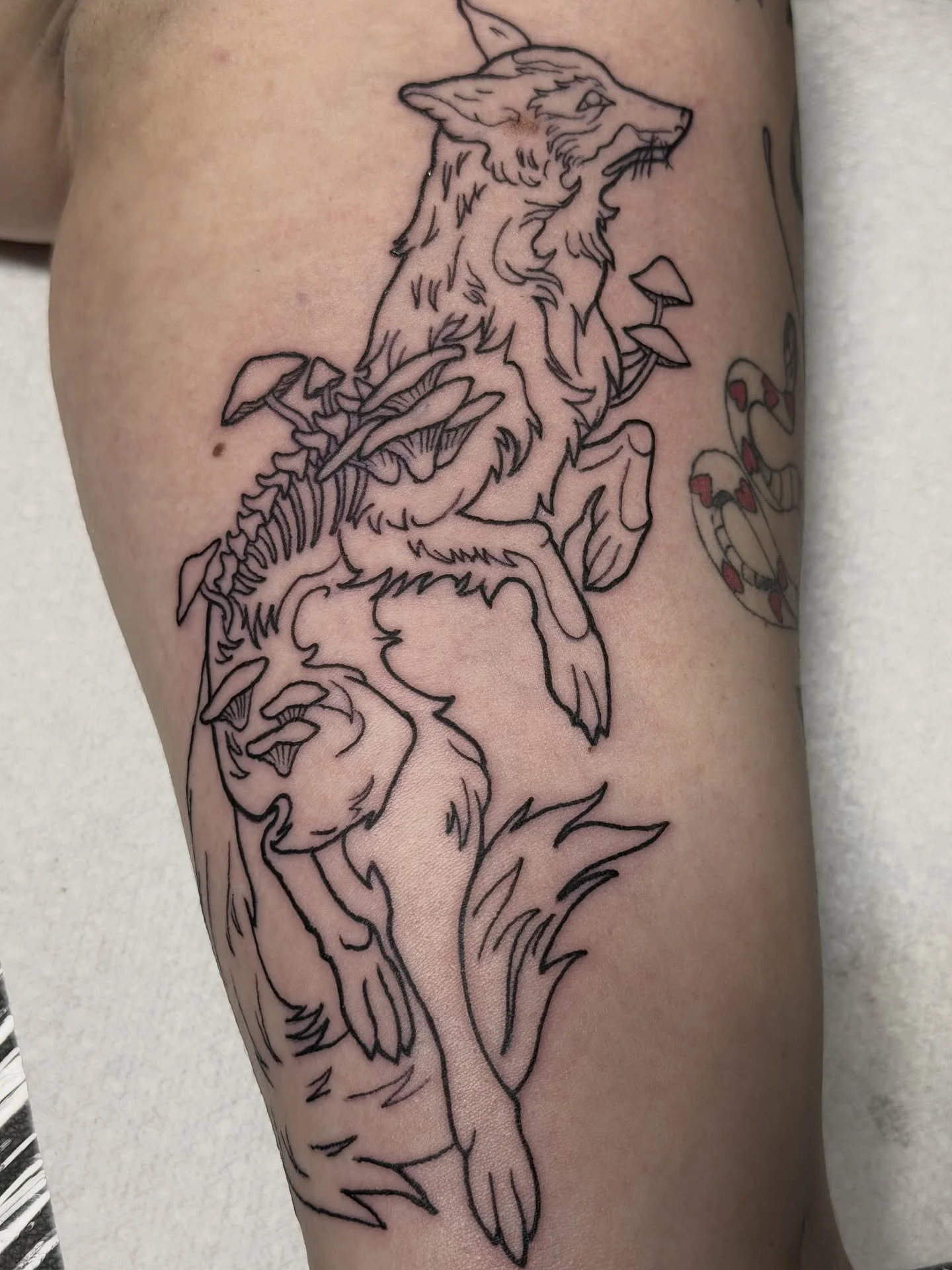 Can&rsquo;t wait to finish up this dead fox tattoo for @petrock_ap I&rsquo;ve been totally slacking on posting lately because it&rsquo;s been super busy at the shop! 
I&rsquo;m booking for March-May shoot me a message and let&rsquo;s set something up