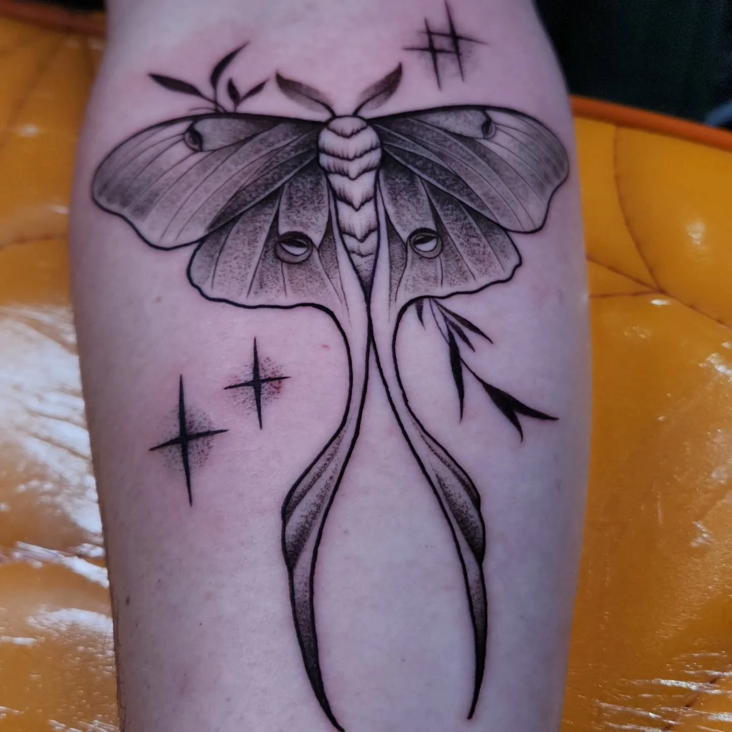 Super fresh luna moth done this morning.
Books are always open
Thanks for looking
.
.
.
.
#tattoo #alternative #gothstyle #blackandgreytattoo #pittsburghpa