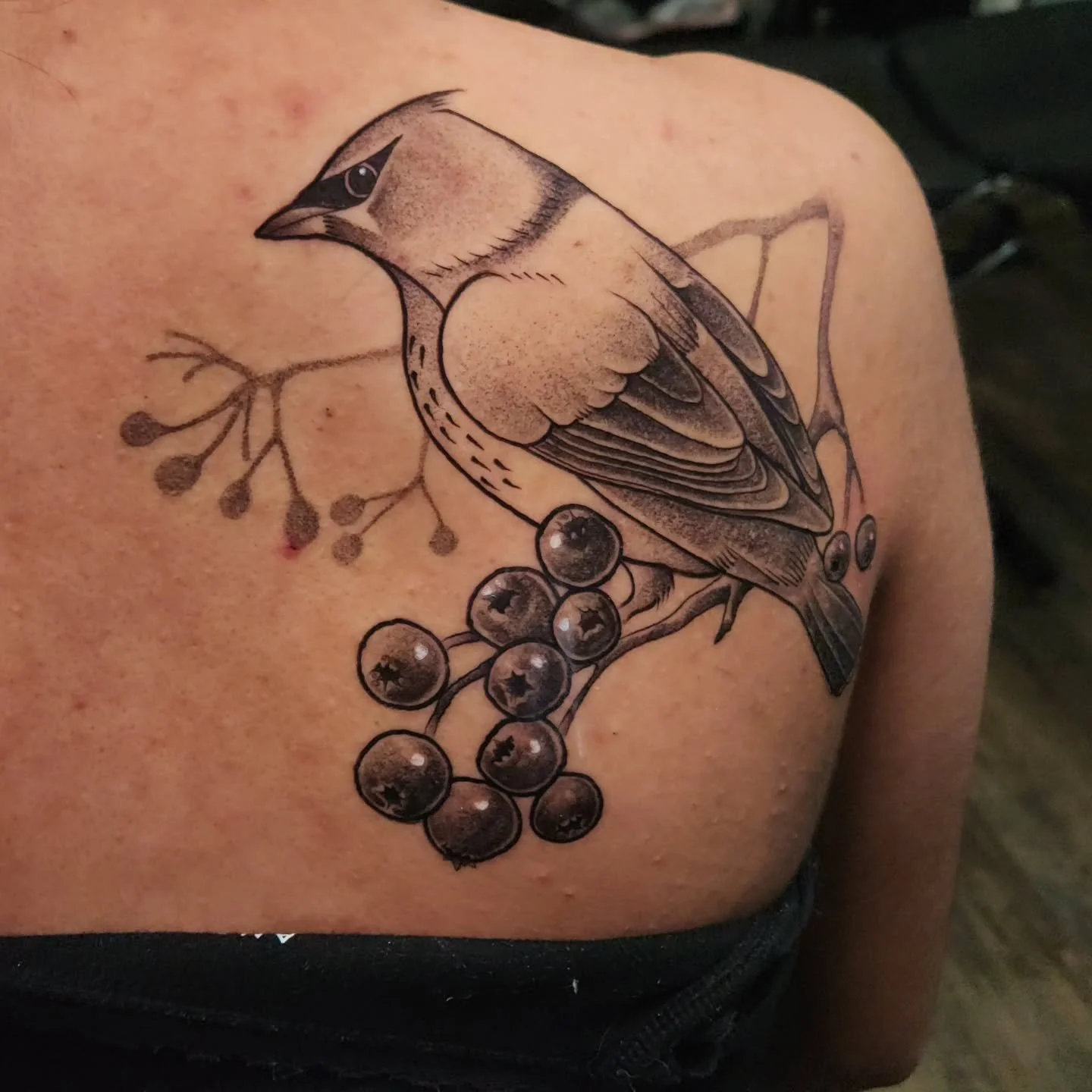 Books always open
Thanks for lookong
.
.
.
#tattoo #wildlife #blackandgreytattoo #pittsburghpa #illustrativetattoo