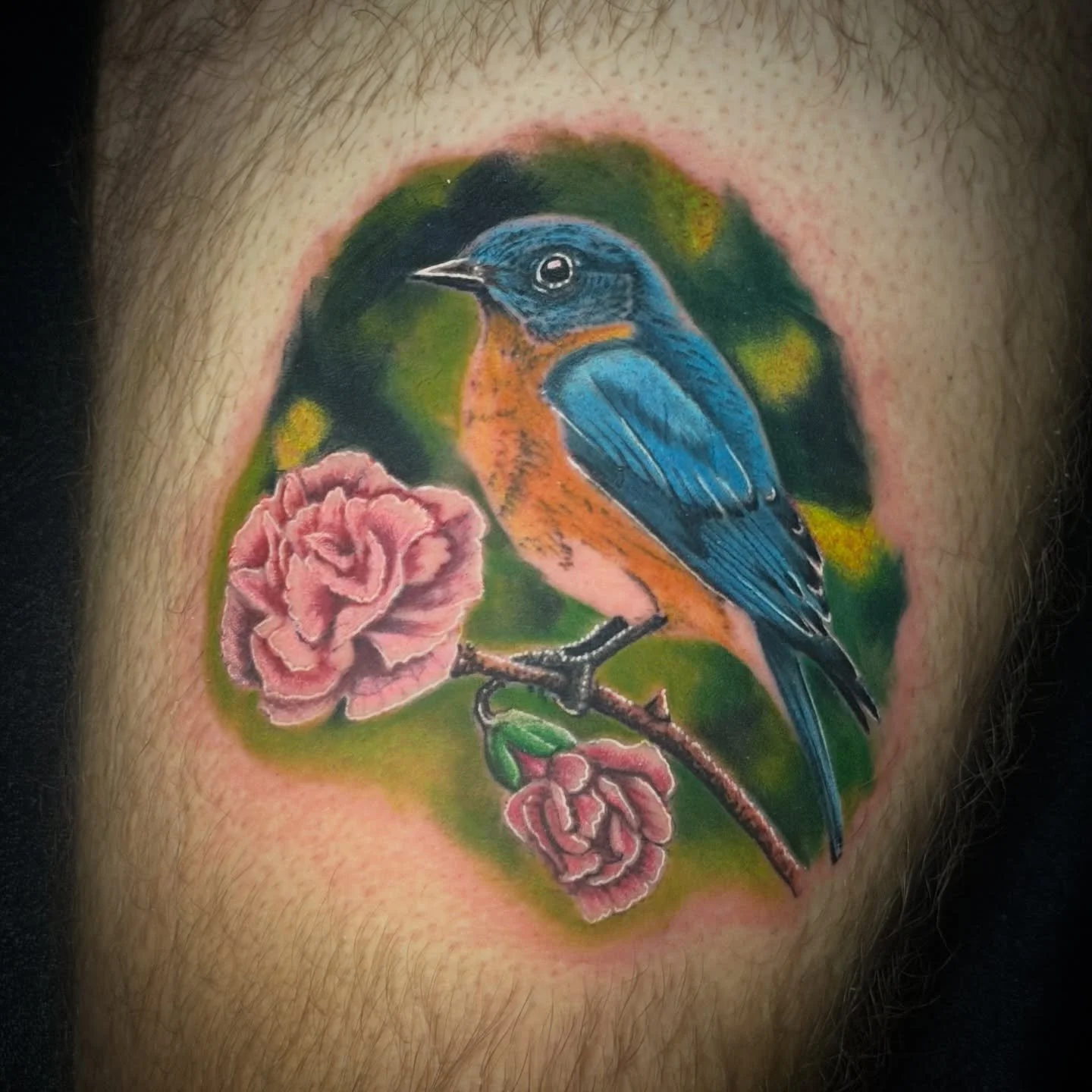I get asked a lot if ever do color tattoos. 

And yes, I love doing color tattoos! 

Especially color realism nature and animals! It&rsquo;s one of my favorite things to tattoo! Do you have any animals or nature themed ideas you want to get tattooed?