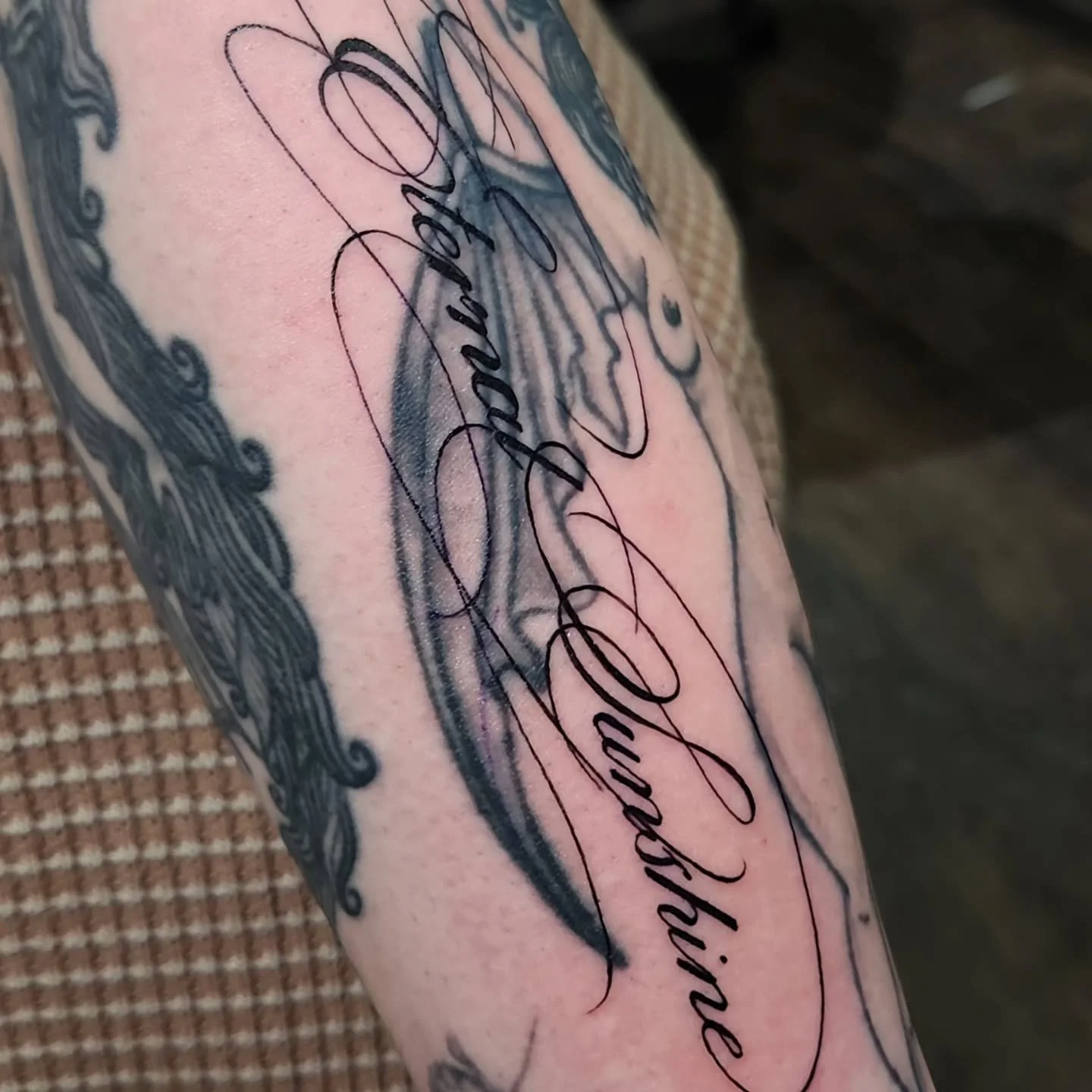 "Eternal Sunshine" 
Script on forearm
Thabks for looking
.
.
.
#tattoo #finelinetattoo #script #pittsburghpa #alt