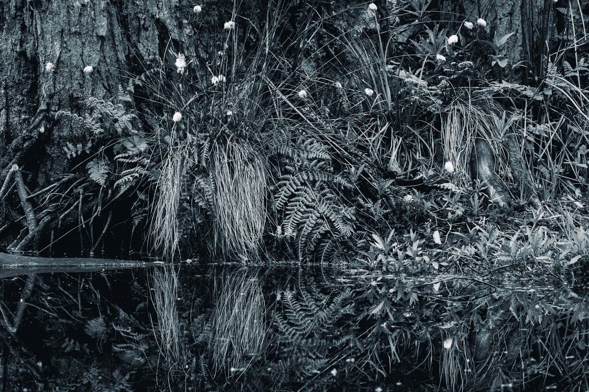 DSC_8521-2.jpg