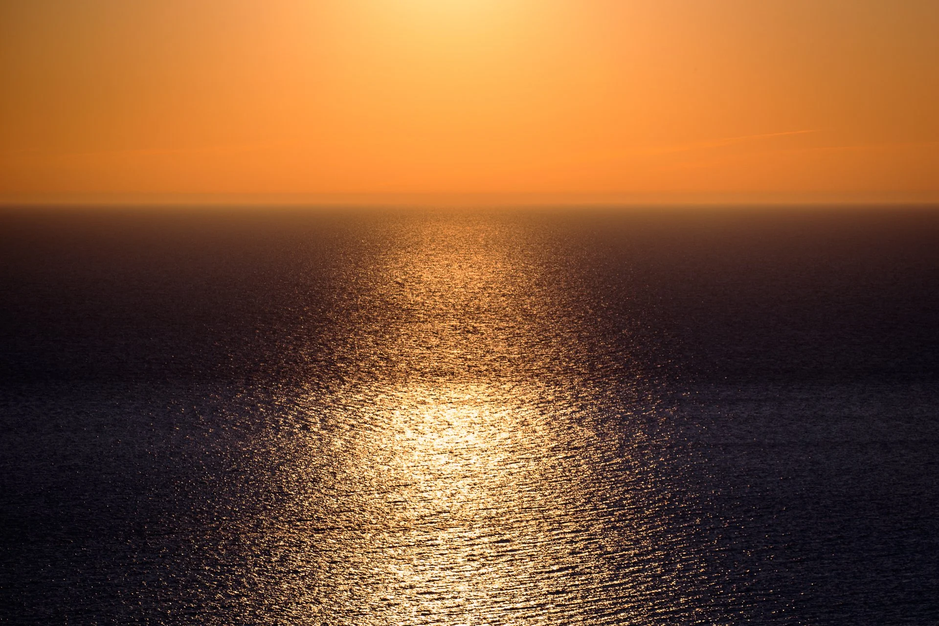 DSC_7715.jpg