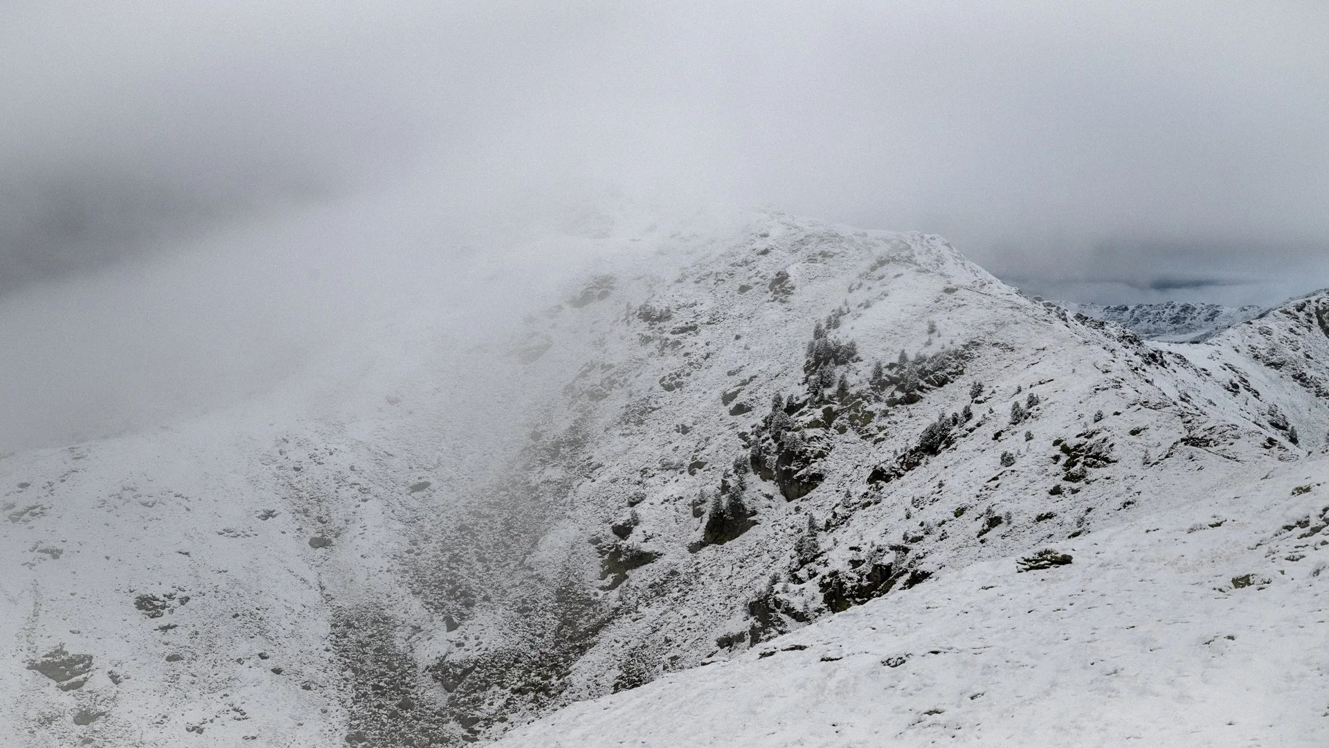 DSC_1862.jpg