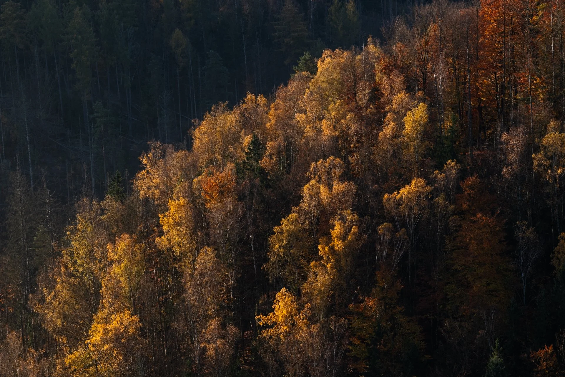 DSC_2814.jpg
