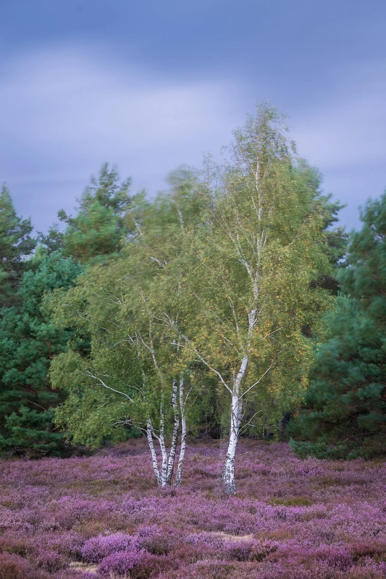 DSC_1627-2.jpg