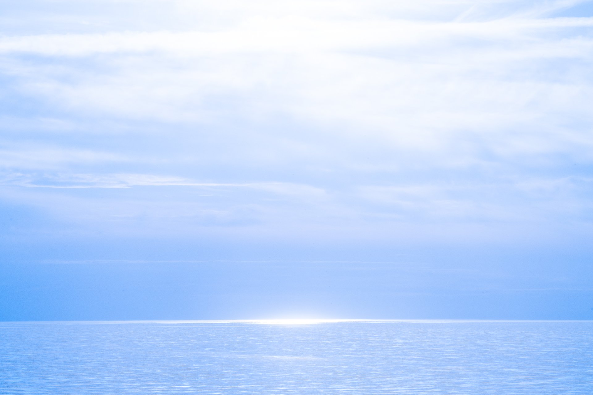 DSC_8417.jpg