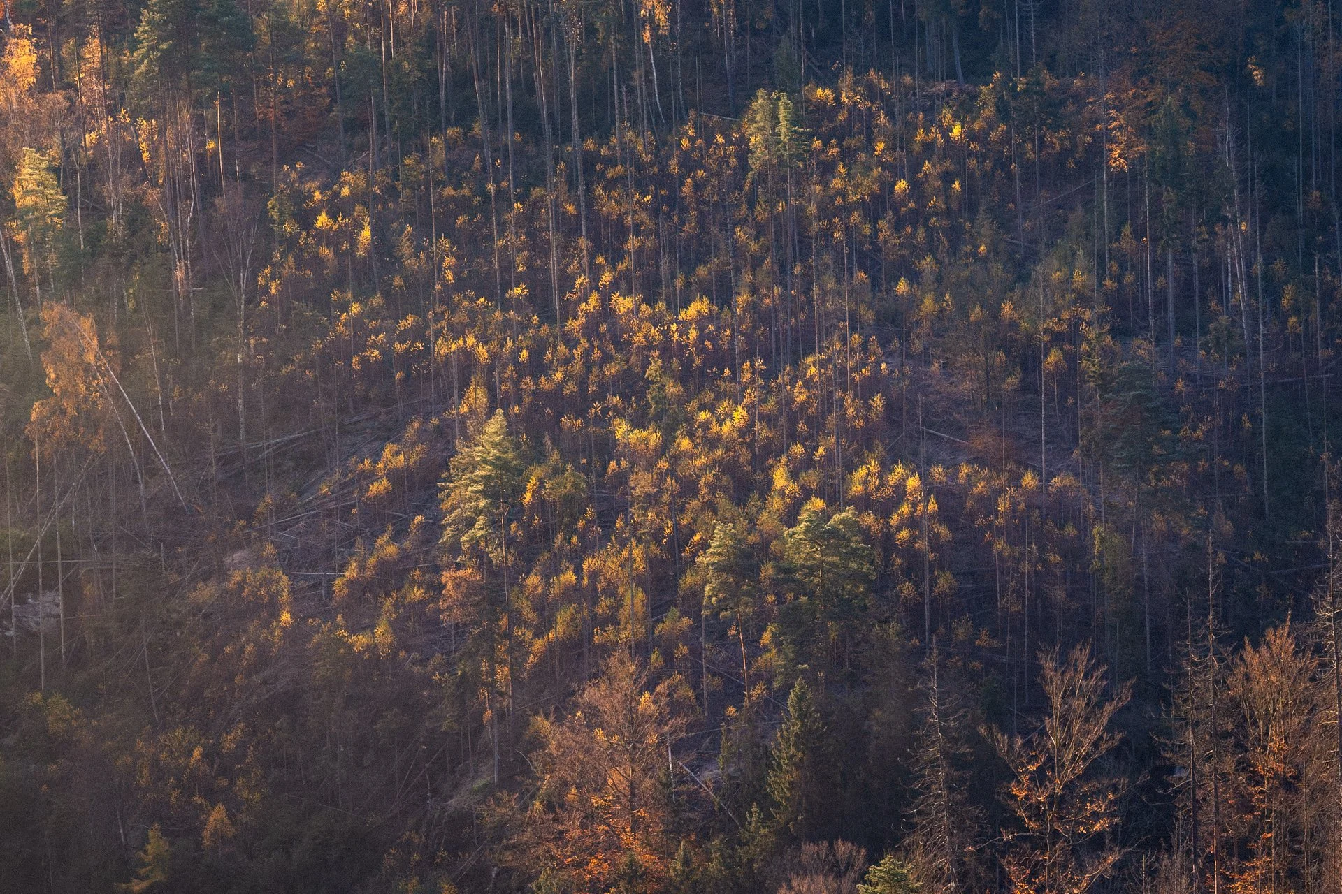 DSC_2815-2.jpg