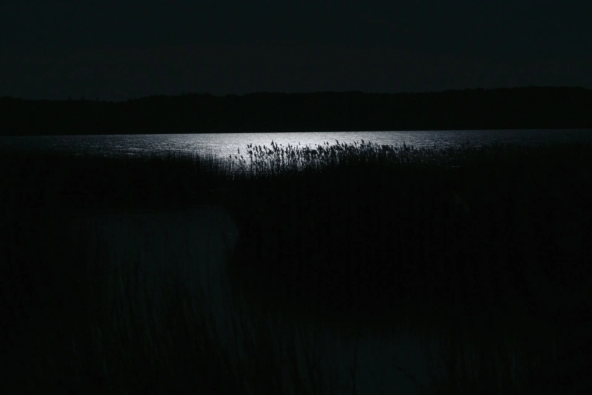 DSC_7694-3.jpg