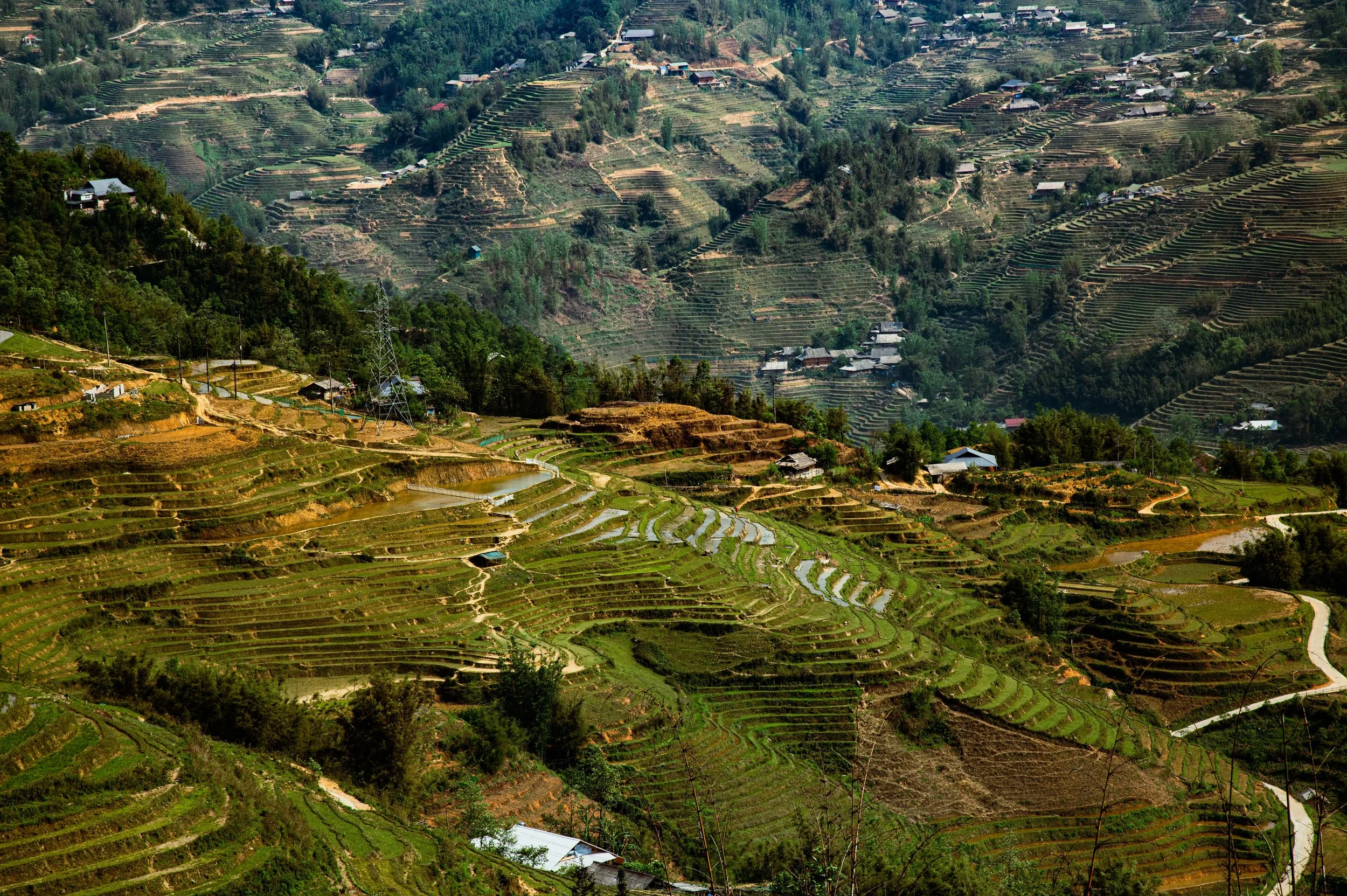 Vietnam 2024-118.jpg