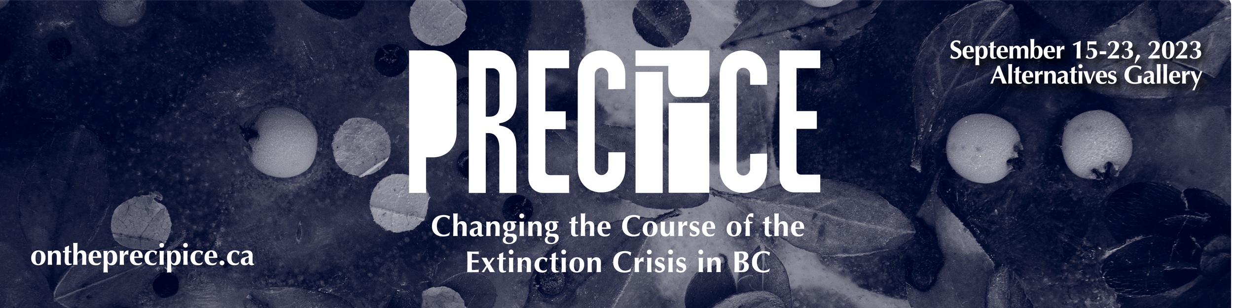 Precipice-Web banner-2000x500-01.png