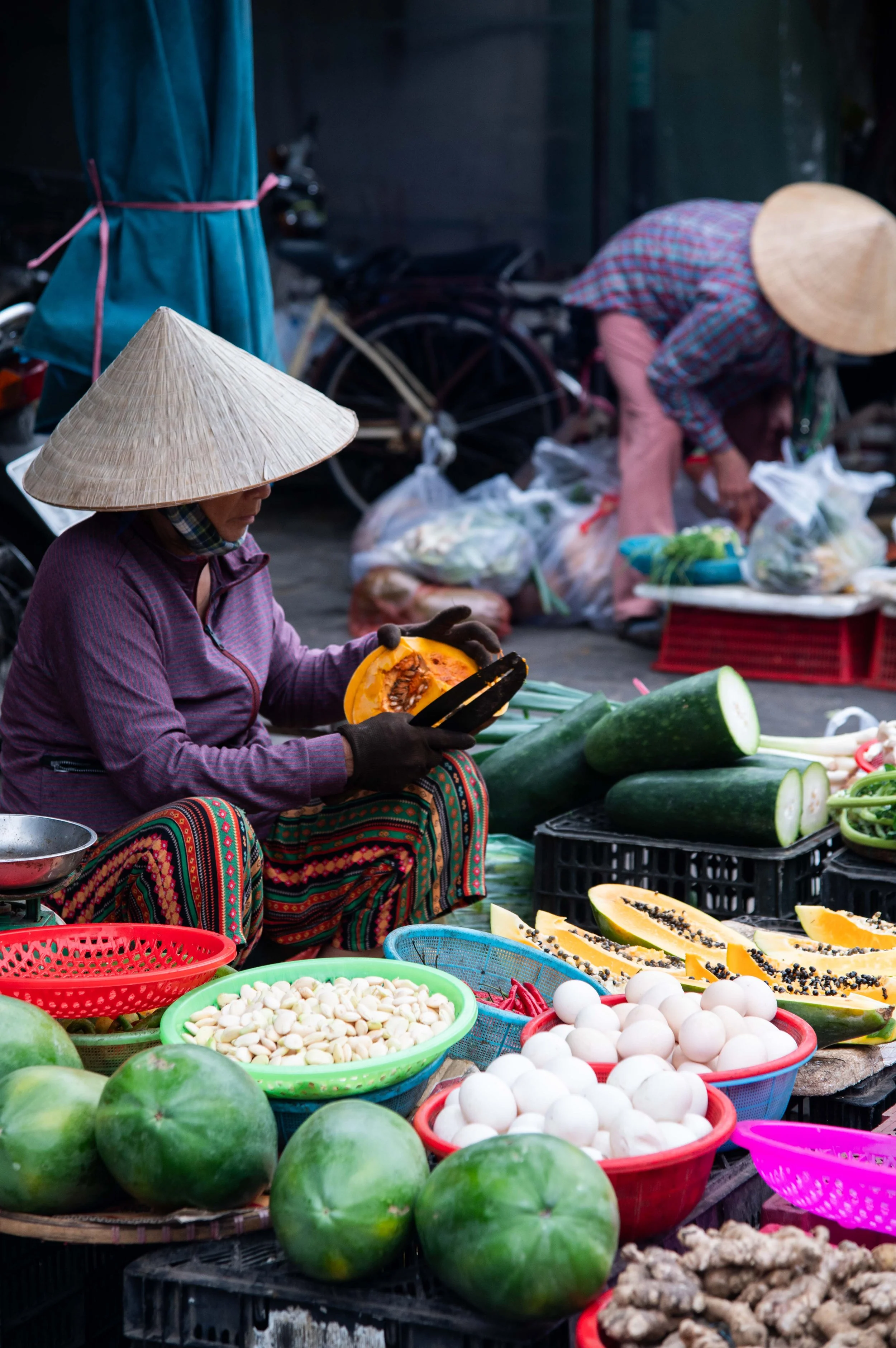 Vietnam 2024-104.jpg