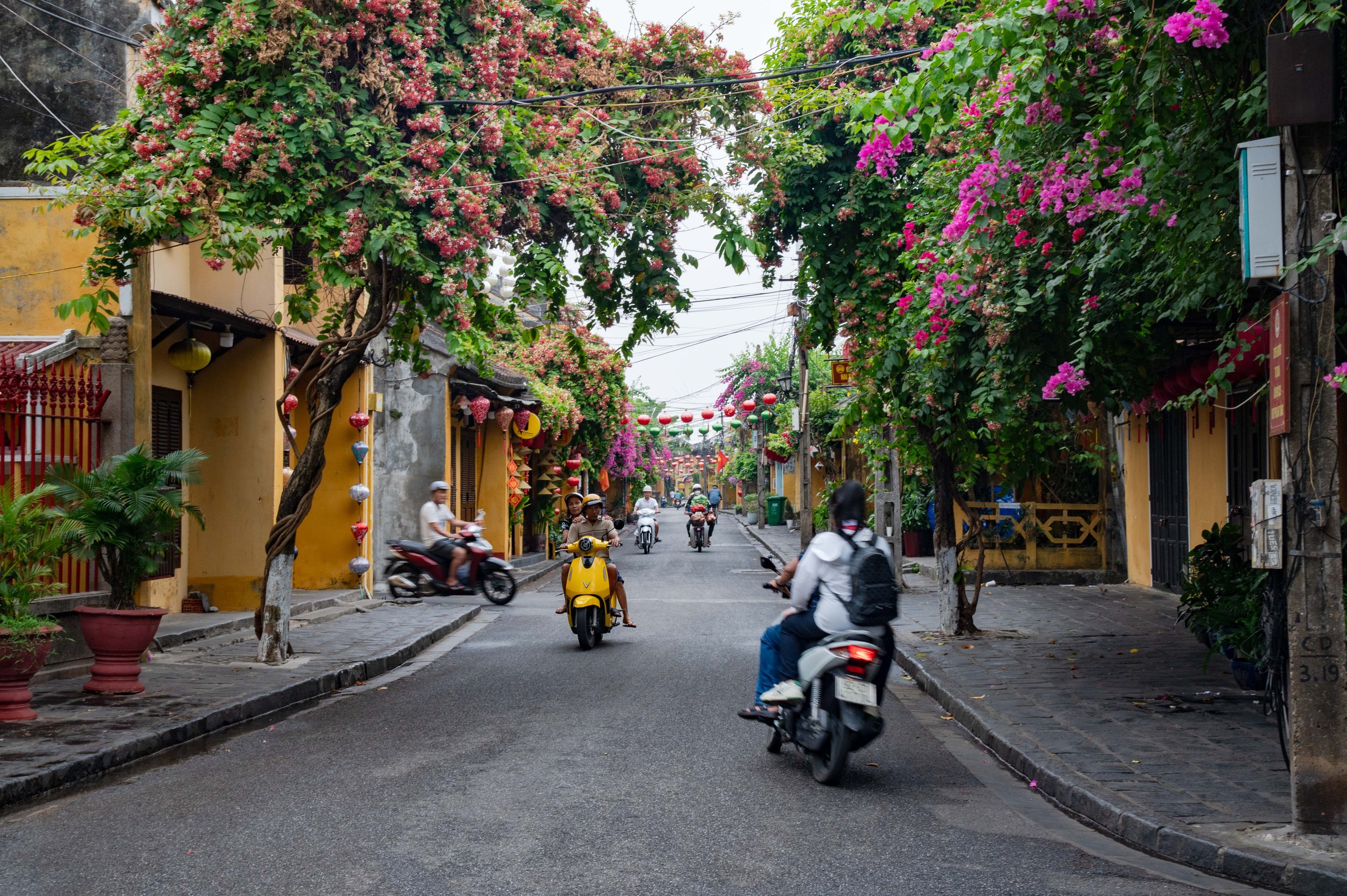 Vietnam 2024-110.jpg