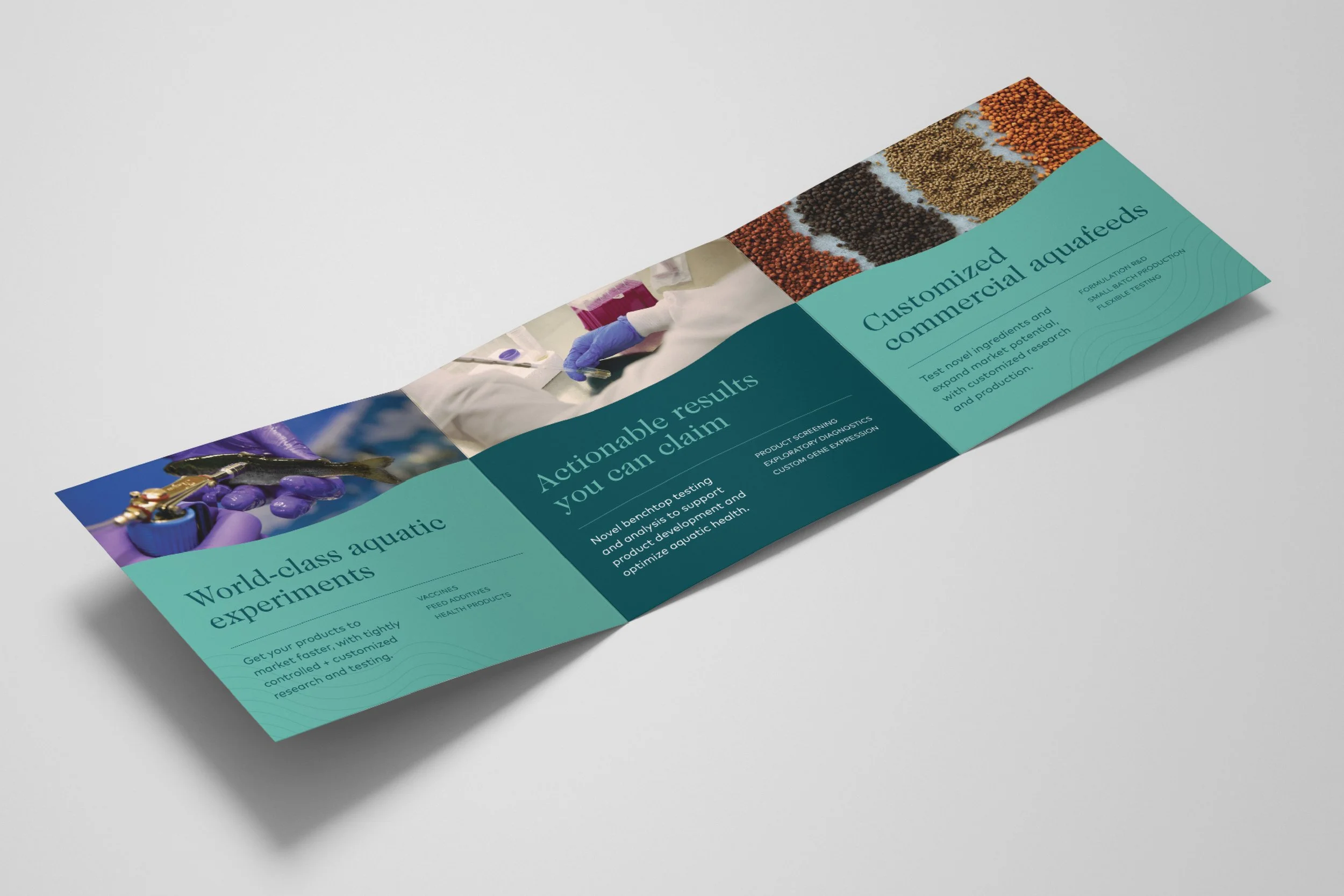 ONDA / Branded Brochure