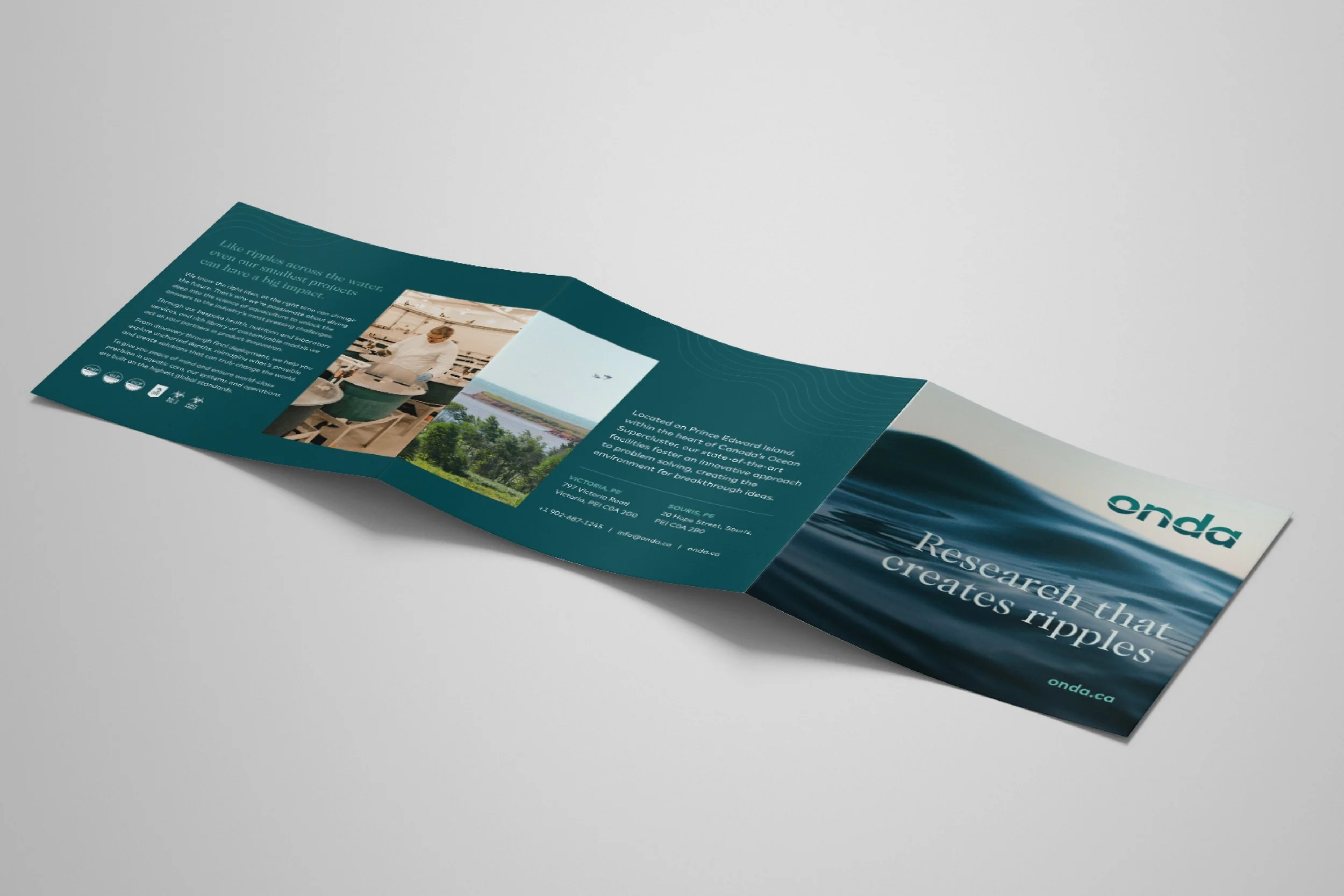 ONDA / Brand Marketing