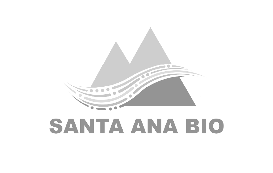 VP, Project Team Lead & Chief of Staff