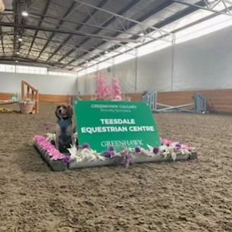 Teesdale Equestrian would like to thank everyone who attended our Novice Show this past weekend!  We'd also like to thank our sponsor @greenhawkcalgary !

Lots of fun and good times were had!  Congratulations to all our competitors, you all did great