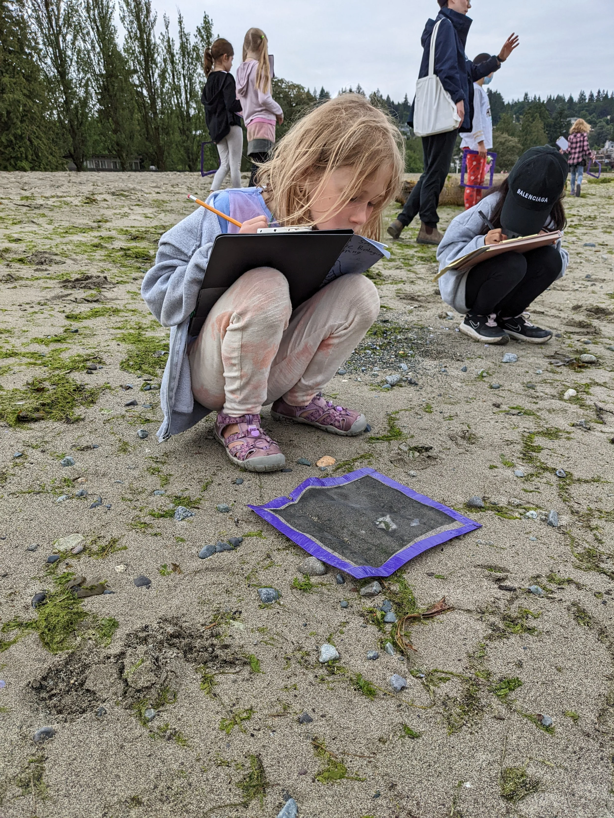 2022 Marine Biologist in Training - Locarno Beach.jpg