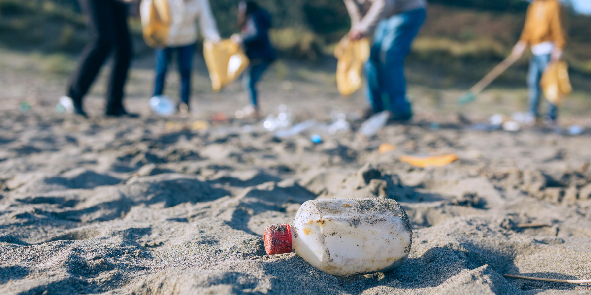 Clean Beeach Why Beach Clean Ups are so Important — Sea Smart