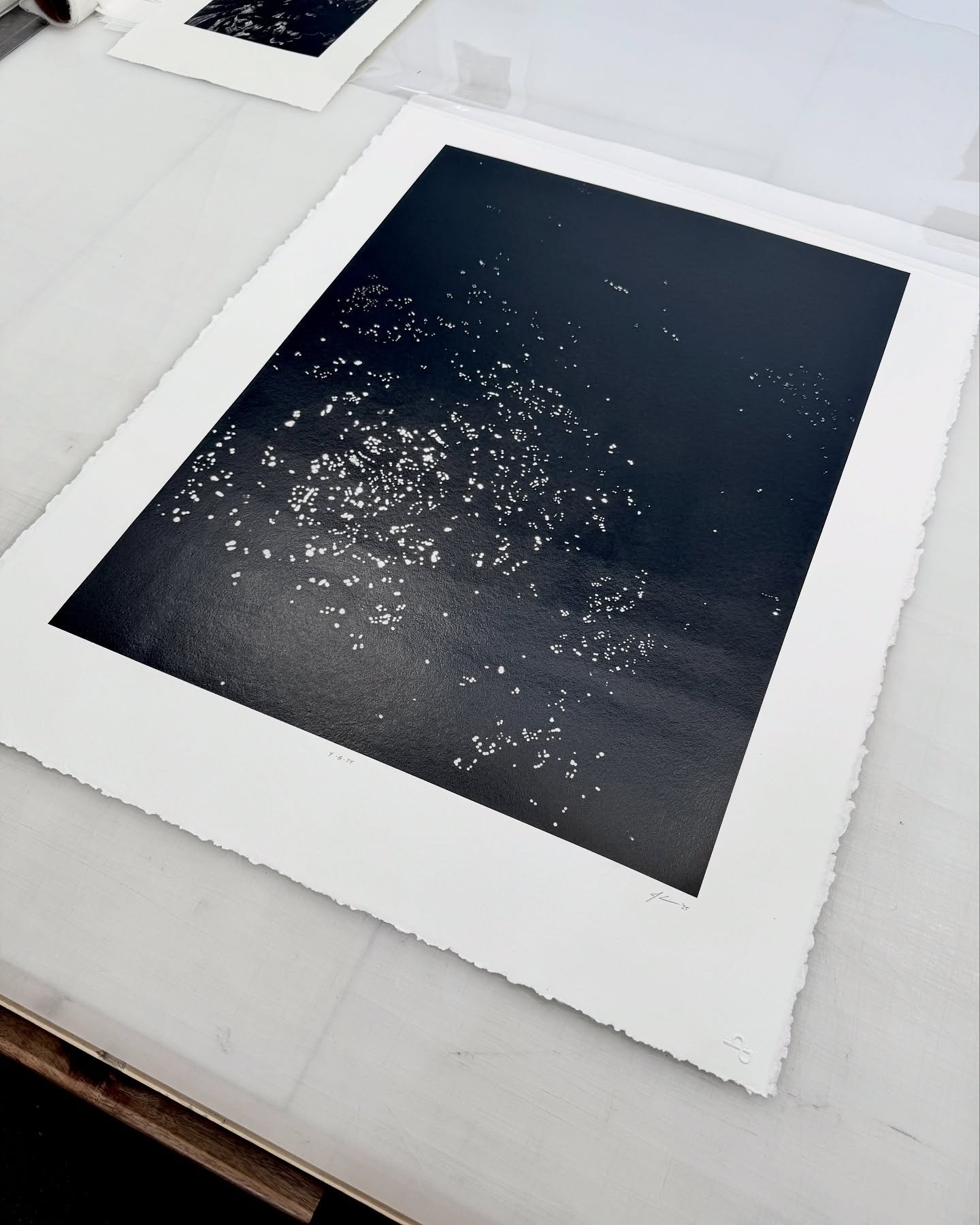 We&rsquo;ve spent countless hours developing this print process where we are inkjet printing on super thin gampi and then mounting and waxing it onto print making paper. Thank you @on_the_origin_of for letting us work with one of your images, this is