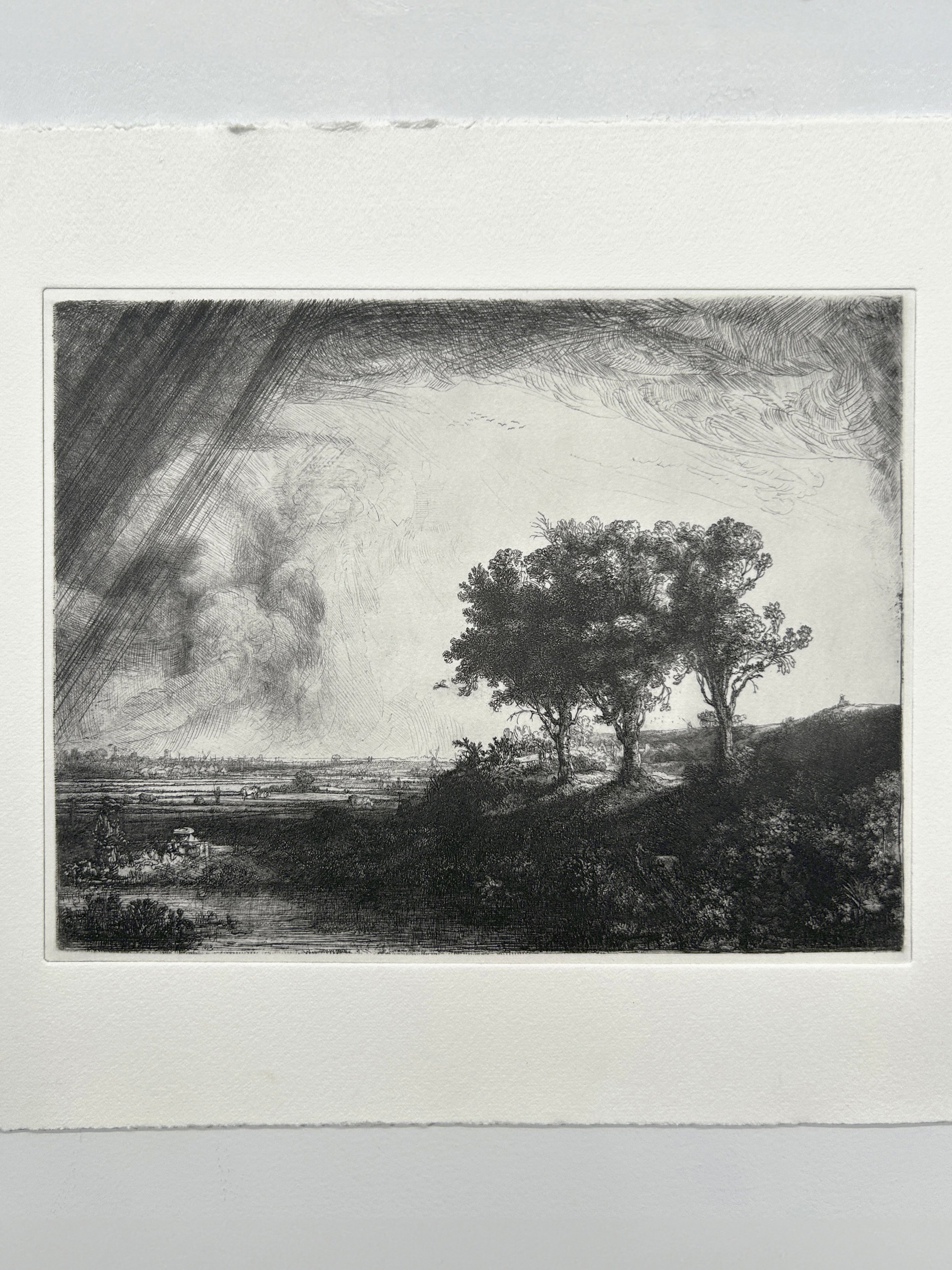 tree-1.jpg