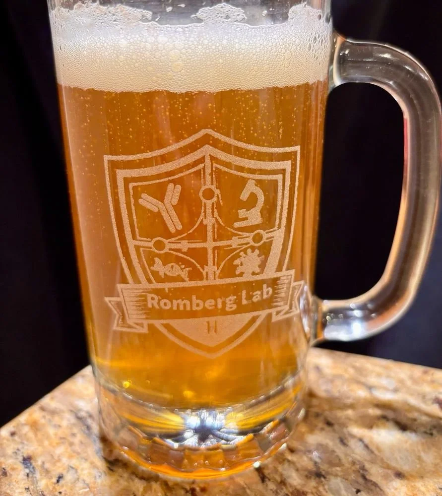 Rom-toberfest Stein