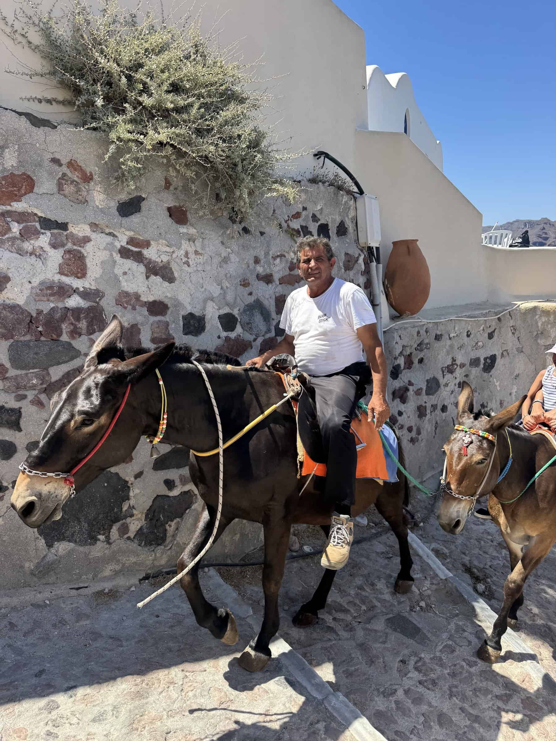 Donkeys Ascending the Iconic Oia Steps in Santorini Greece